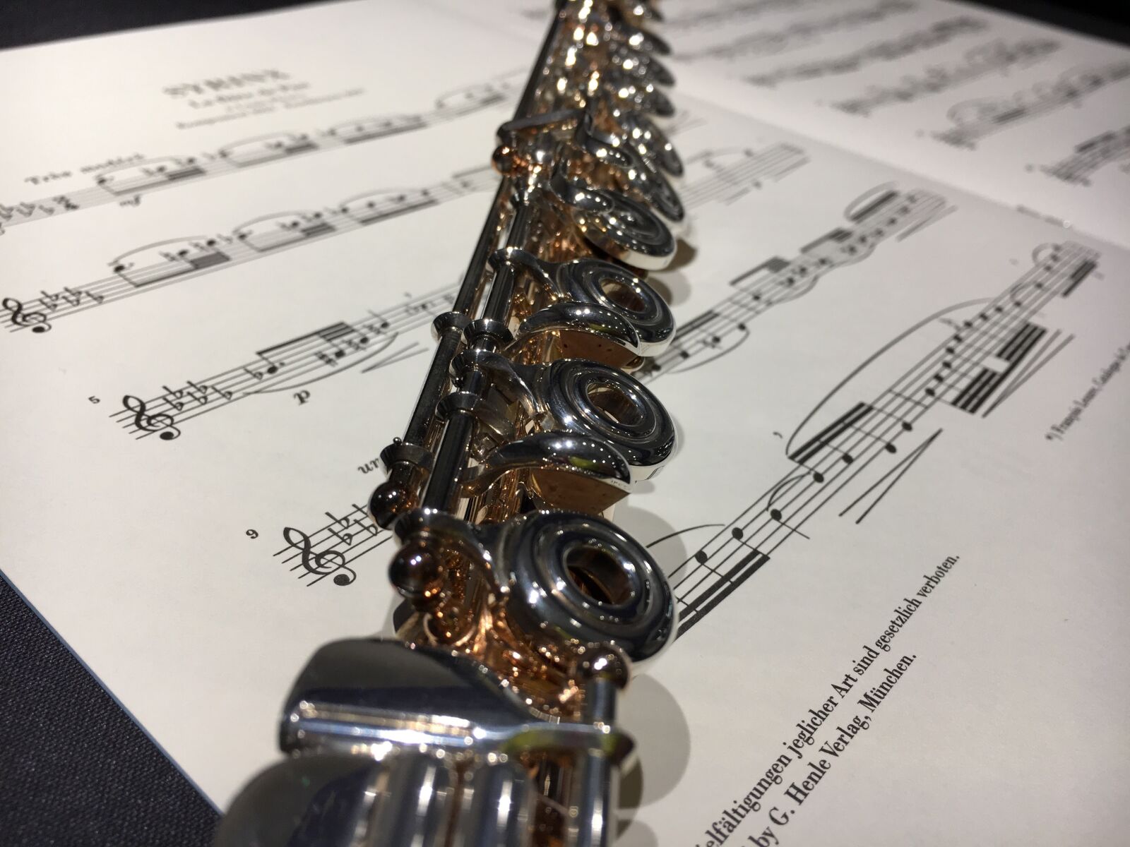Apple iPhone 6s sample photo. Music, musical notes, flute photography