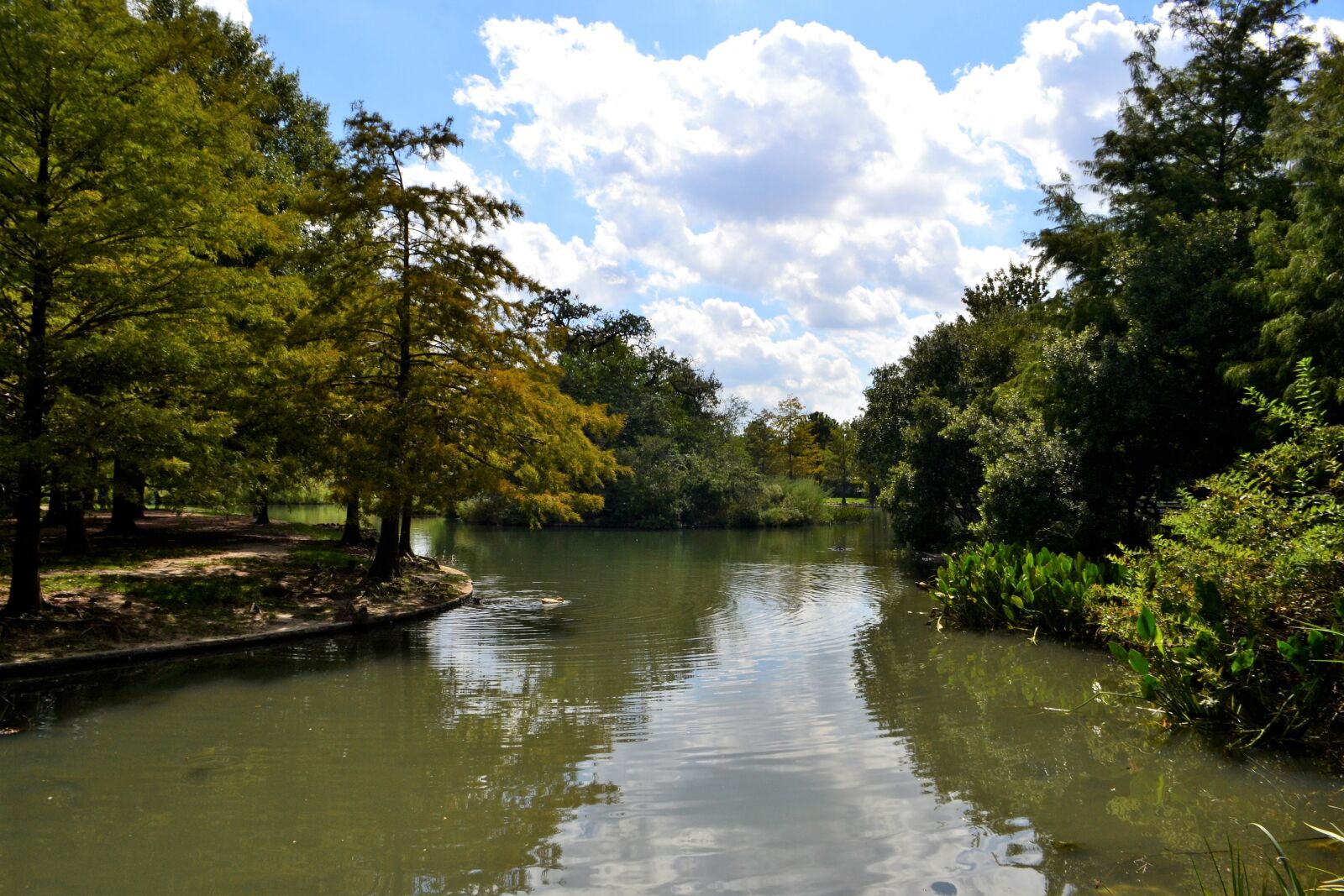 Nikon D3100 sample photo. River, lake, cloudy photography