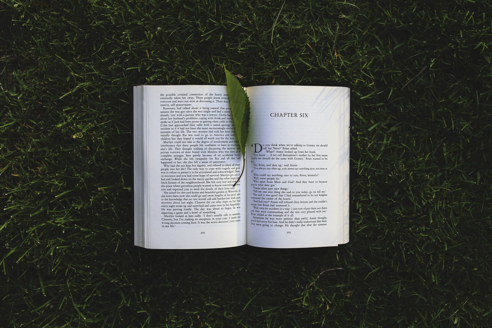 Canon EOS 6D + Sigma 35mm F1.4 DG HSM Art sample photo. Book, chapter, six photography