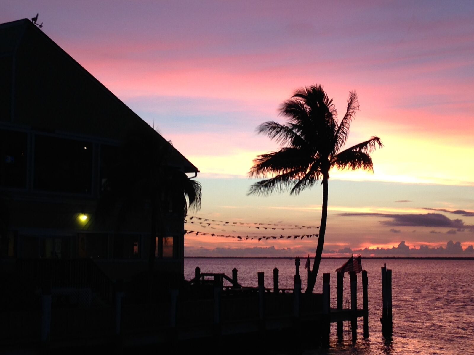 iPhone 5c back camera 4.12mm f/2.4 sample photo. Sunset, colors, palm tree photography