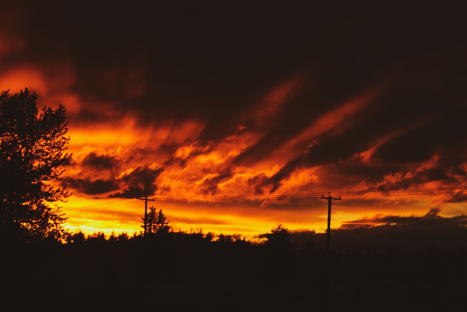 Sony Alpha DSLR-A200 sample photo. Sunset, fire, sky photography