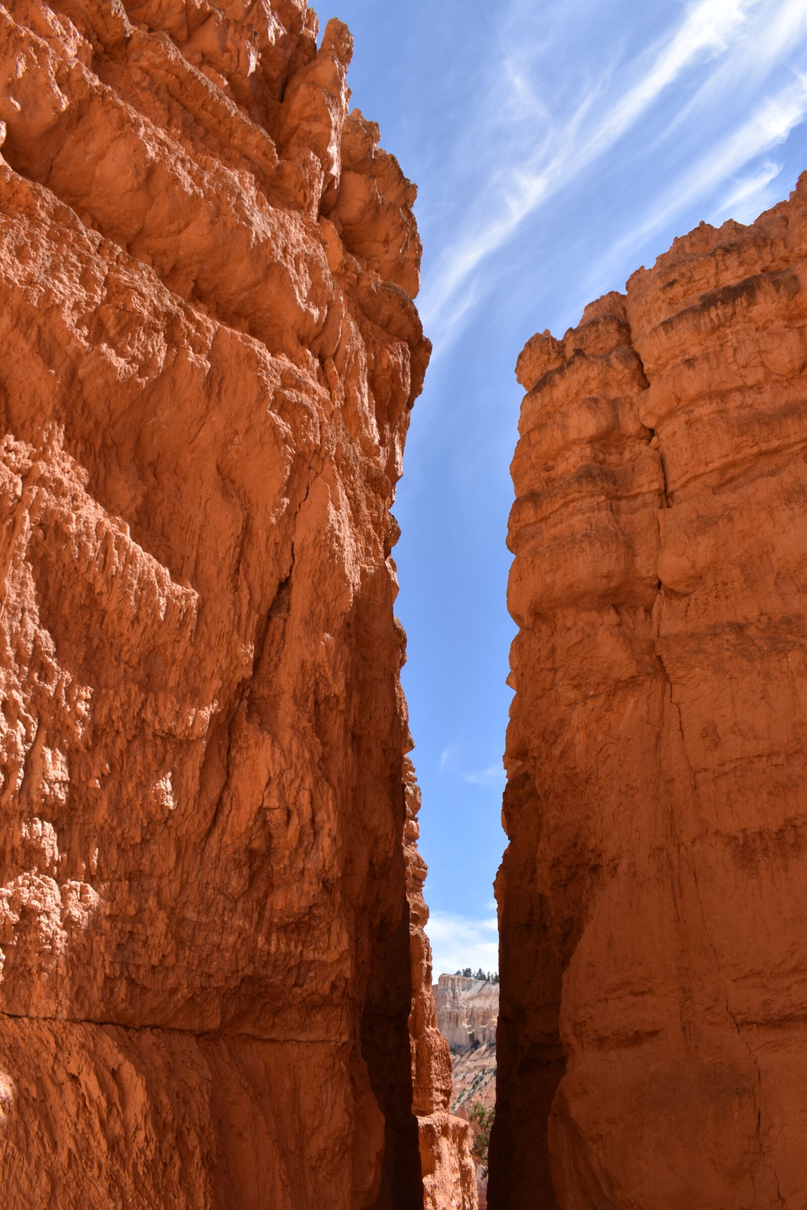 Nikon D5600 sample photo. Bryce, canyon, rock photography