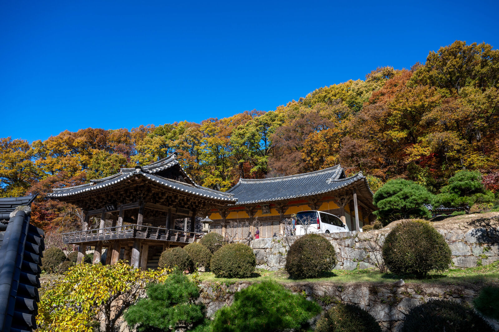 Nikon Nikkor Z 24-70mm F2.8 S sample photo