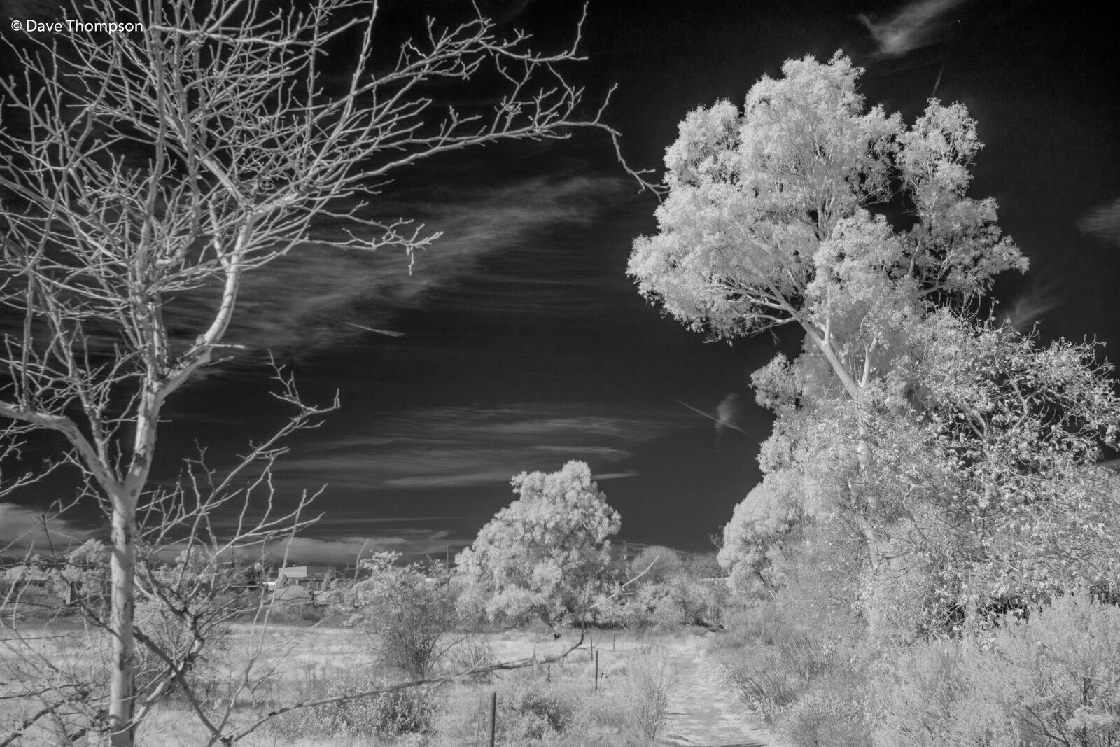 Nikon D7100 sample photo. Infrared, landscape, scenic photography