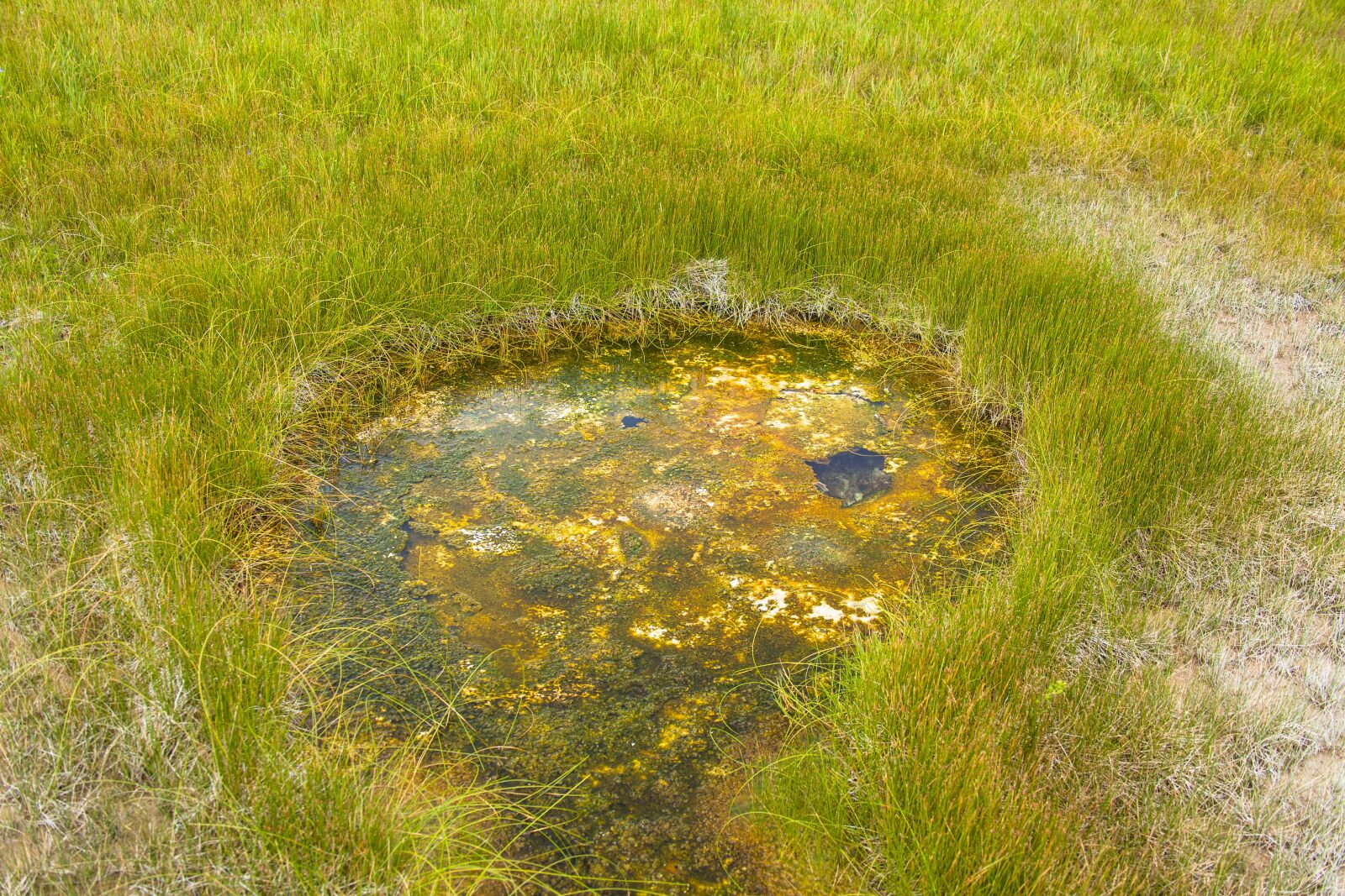 Canon EOS 5D Mark II sample photo. Geysers, volcano, landscape photography