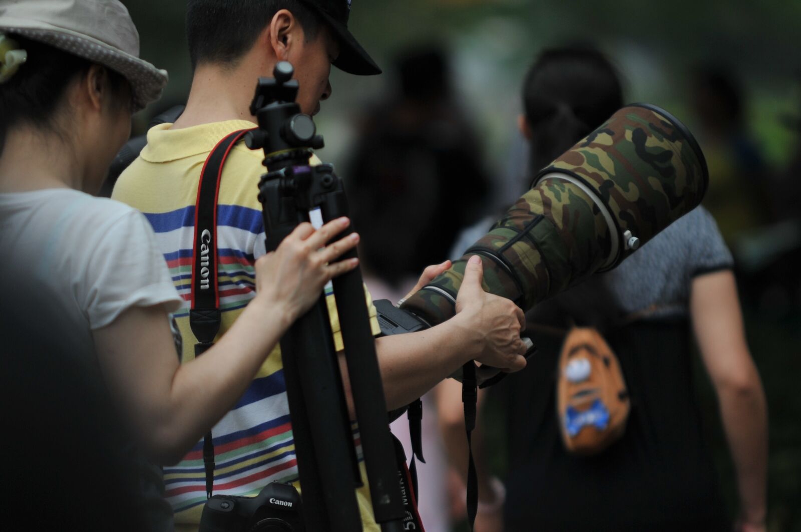 Nikon D700 sample photo. Picture, black, hot photography