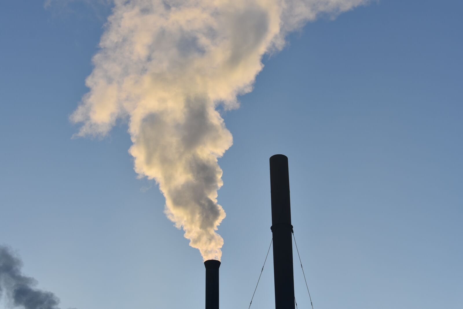 Nikon D3400 sample photo. Trumpet, smoke, city photography