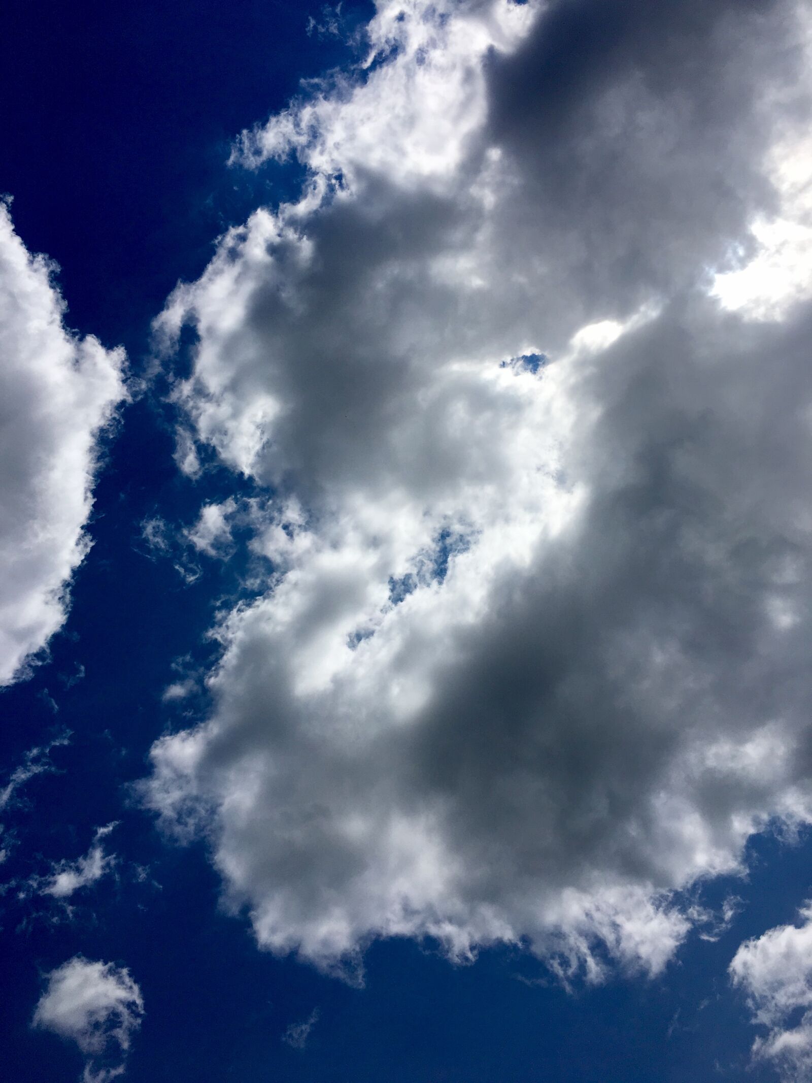 Apple iPhone 6s Plus sample photo. White cloud, blue sky photography