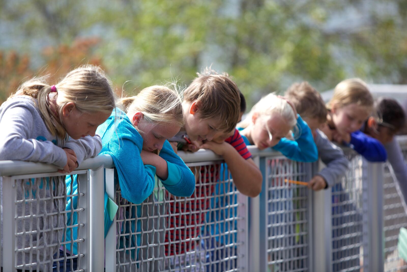 Canon EOS 5D Mark II sample photo. Children, boys, girls, fence photography