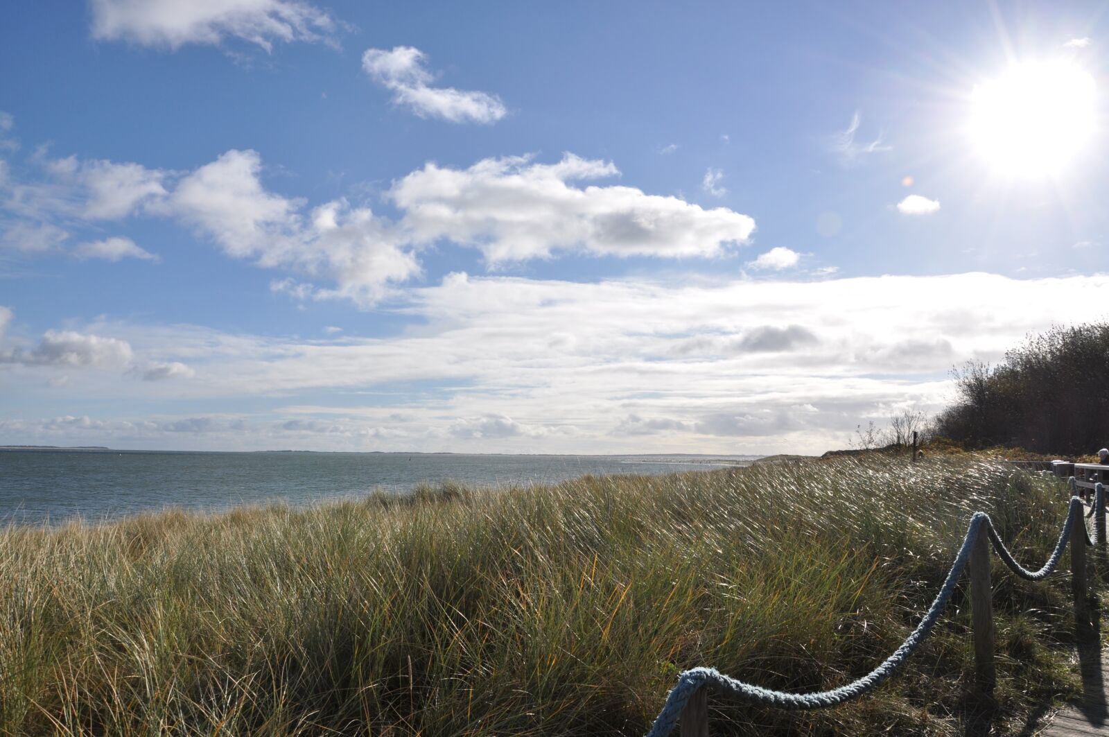 Nikon D5000 sample photo. Sylt, north sea, dunes photography