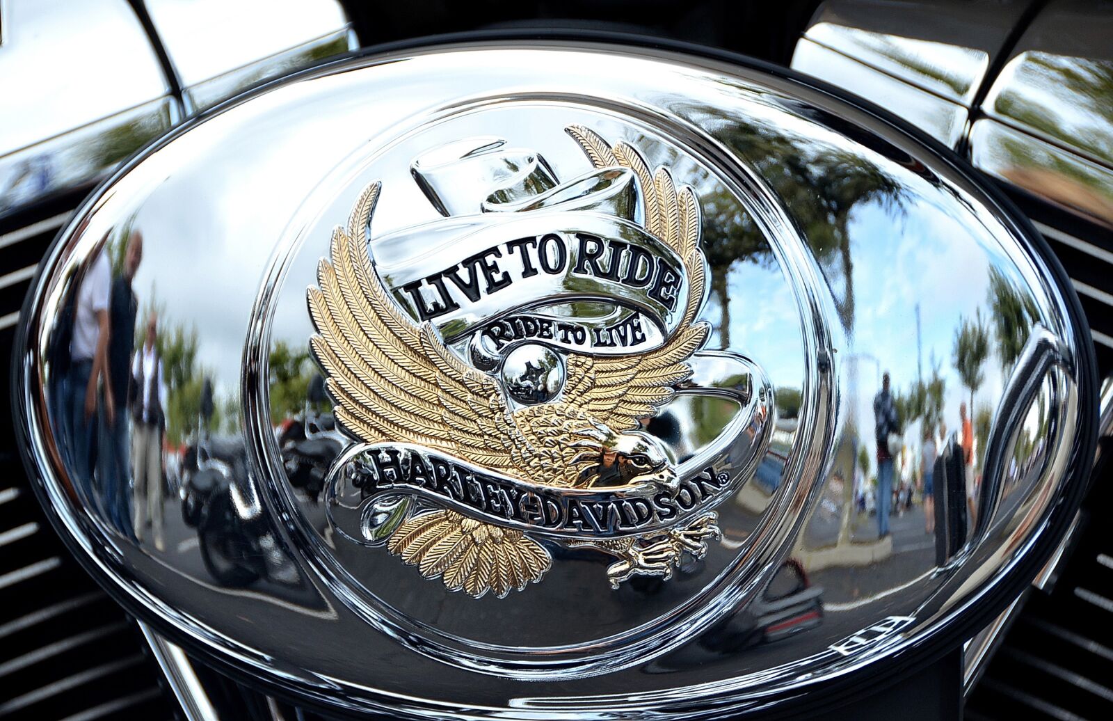 Nikon D7000 sample photo. Harley davidson, logo, metal photography