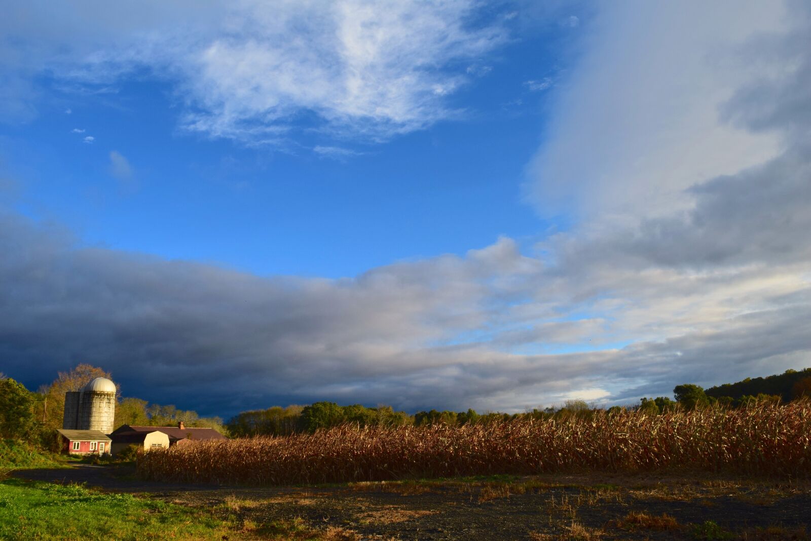 Nikon D3300 sample photo. Silo, farm, barn photography