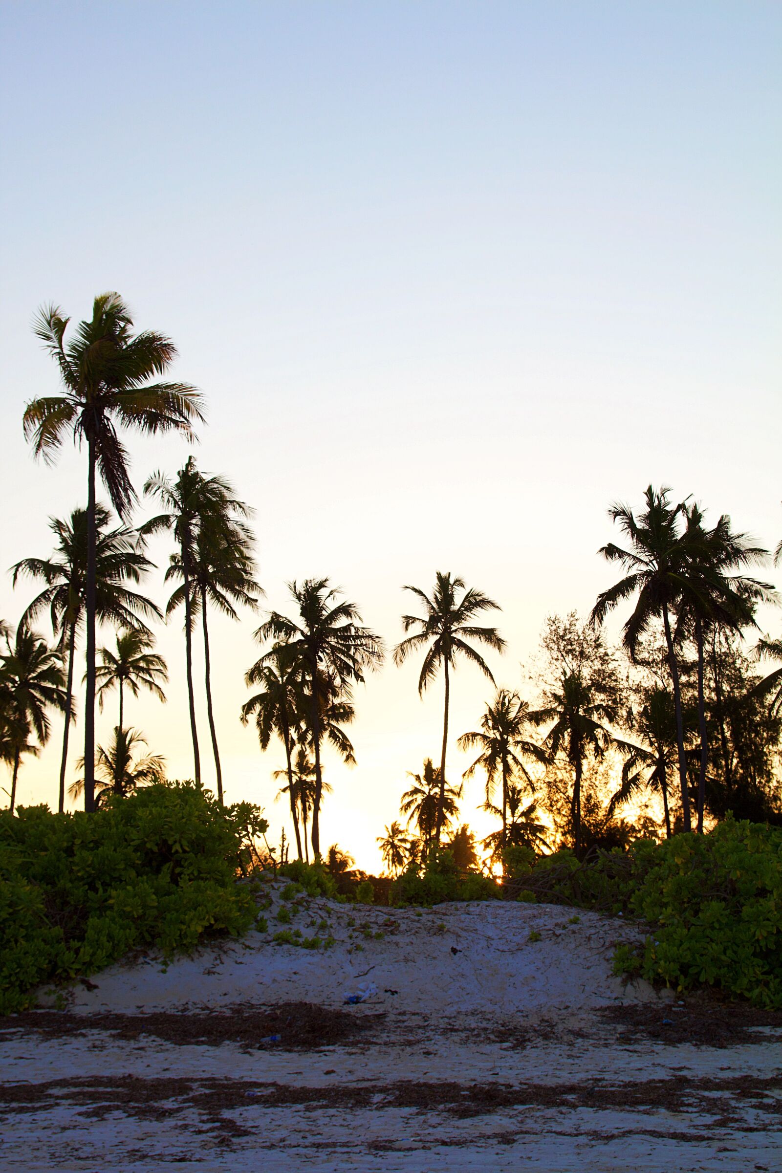 Canon EOS 600D (Rebel EOS T3i / EOS Kiss X5) sample photo. Tanzania, zanzibar, africa photography