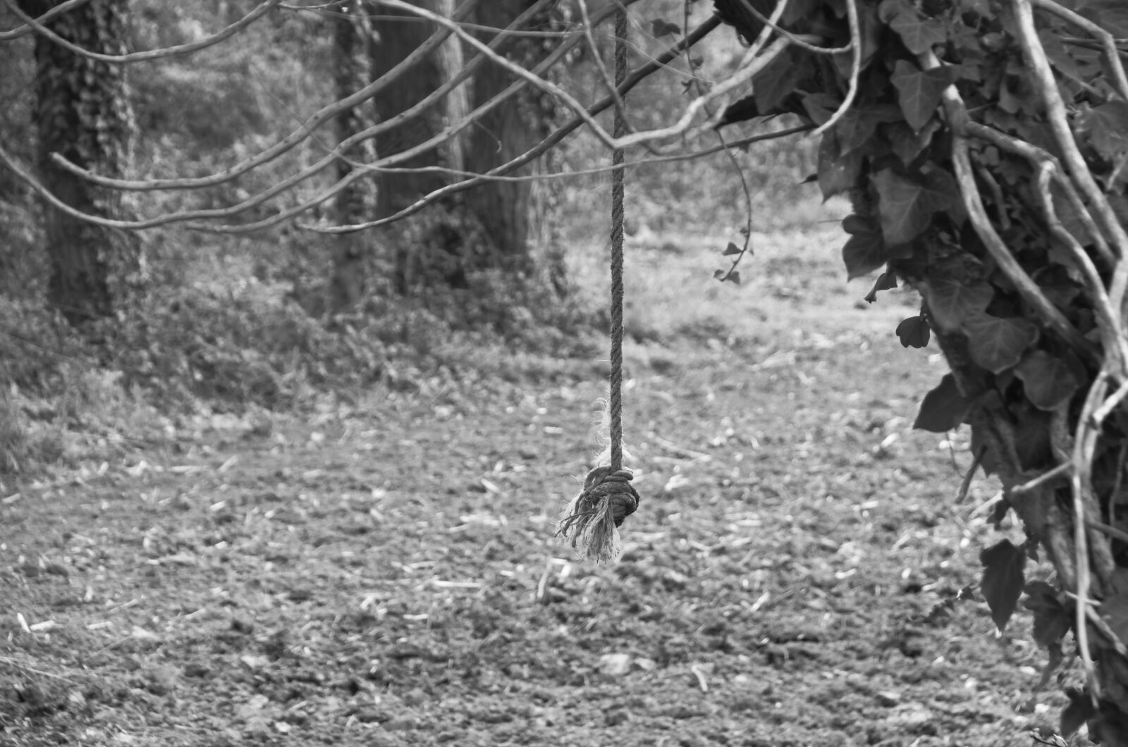 Nikon D5100 sample photo. Rope, node, ropes photography