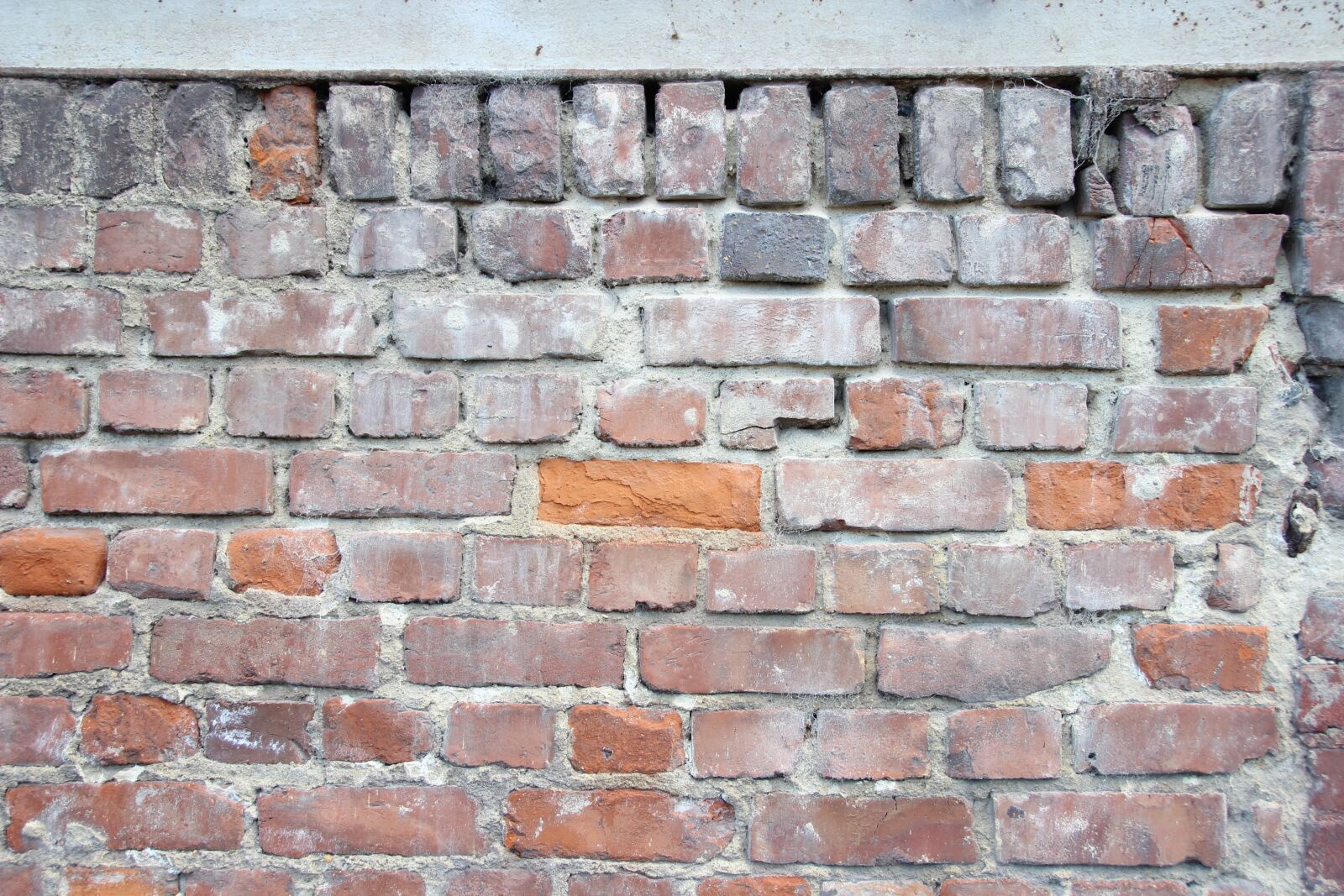 Canon EOS 600D (Rebel EOS T3i / EOS Kiss X5) sample photo. Structure, pattern, background photography