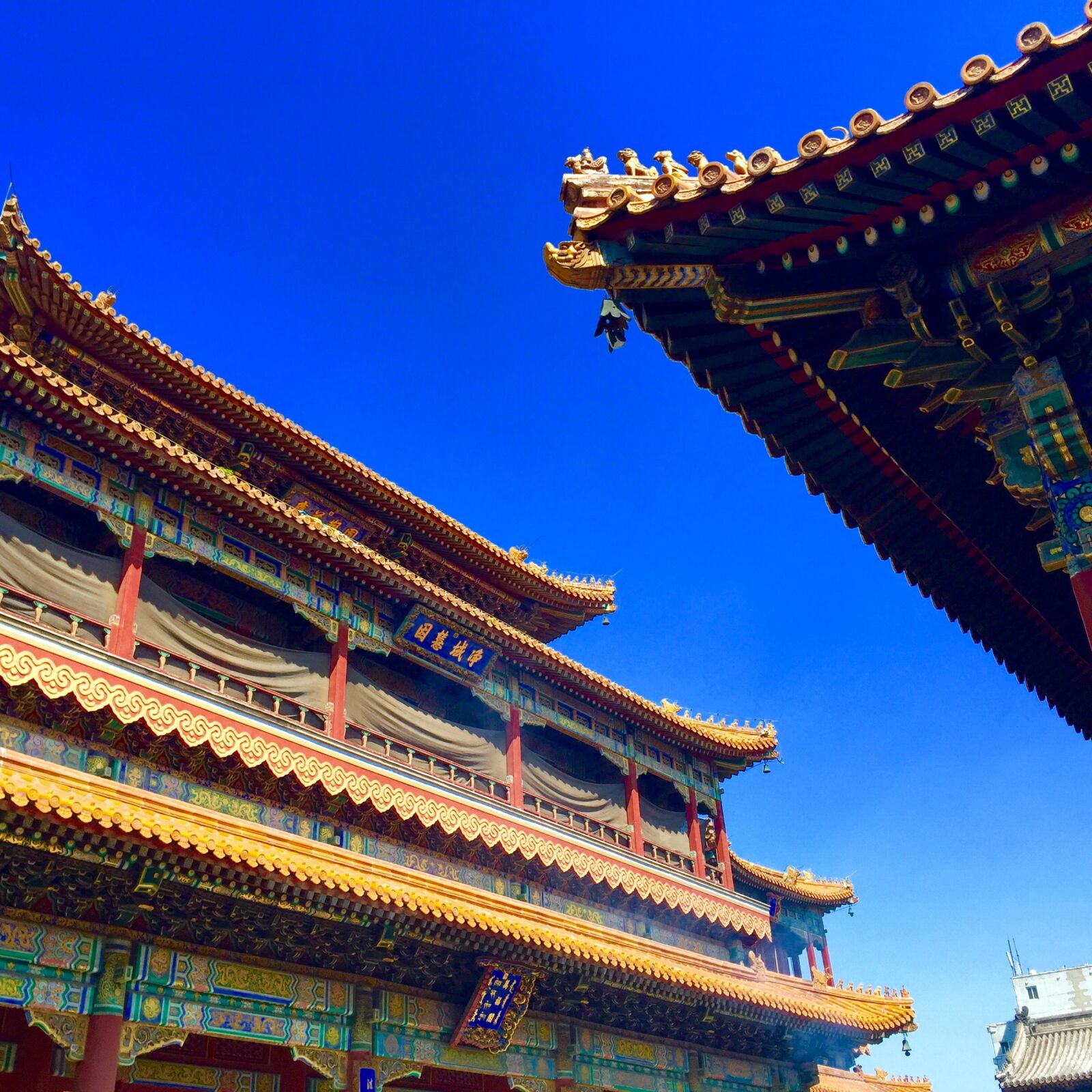 Apple iPhone 6 sample photo. Beijing, lama temple, classical photography