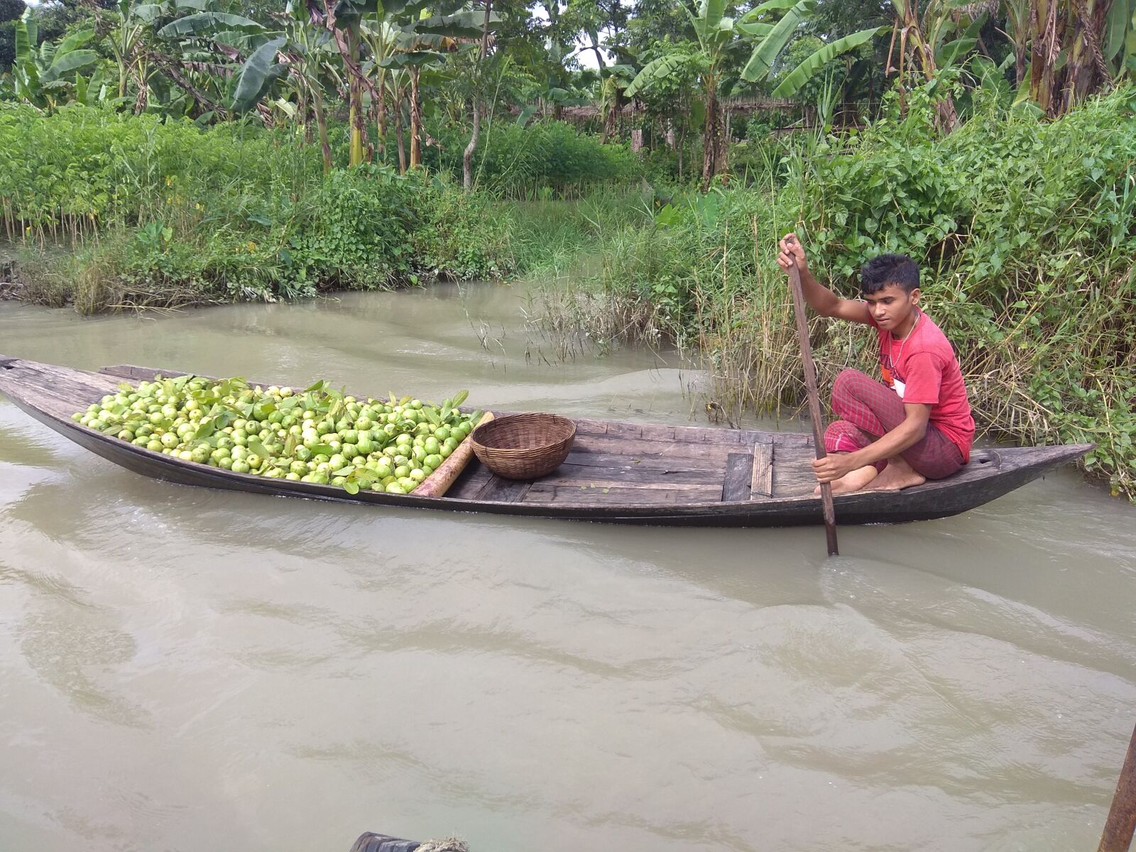 Xiaomi Redmi Note 4 sample photo. Boatman, river, guava photography