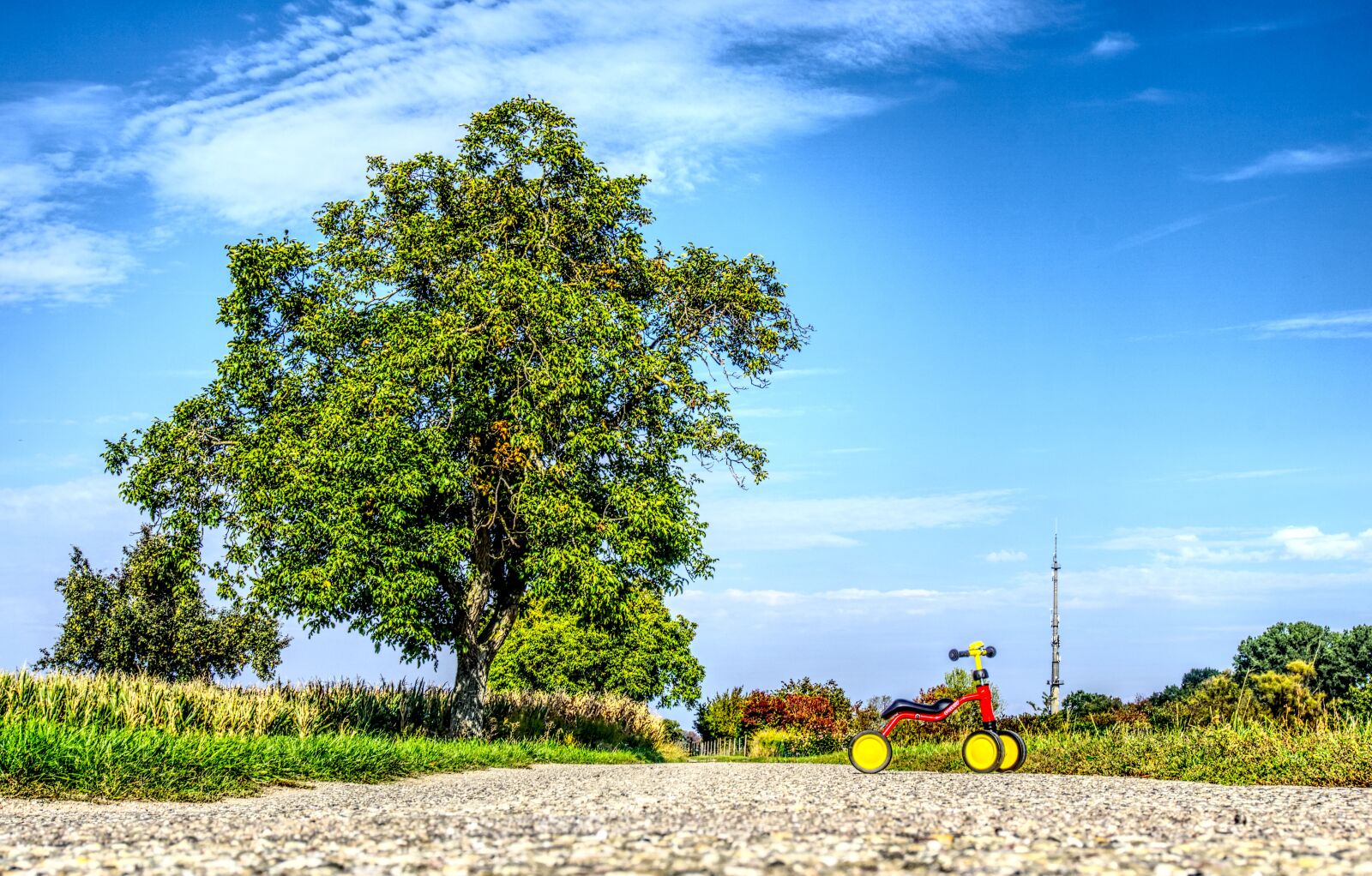 Sony a6000 sample photo. Children toys, bike, impeller photography
