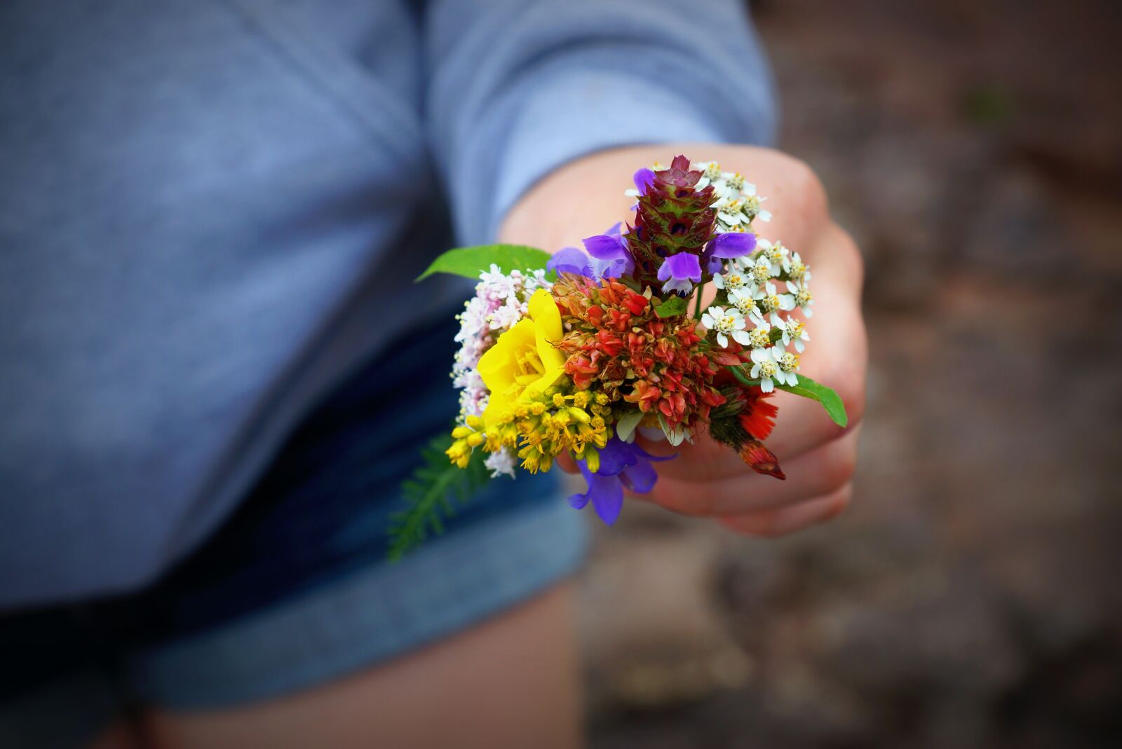 Sony SLT-A77 + Sony DT 16-50mm F2.8 SSM sample photo. Teen, flowers, young photography