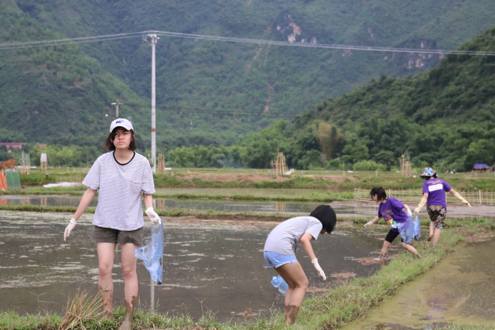 Canon EOS 70D sample photo