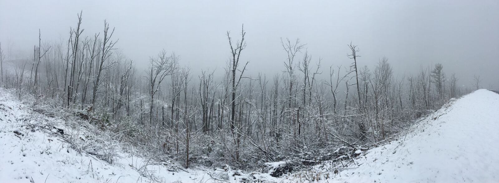 Apple iPhone 6s sample photo. Snow, white, cold photography