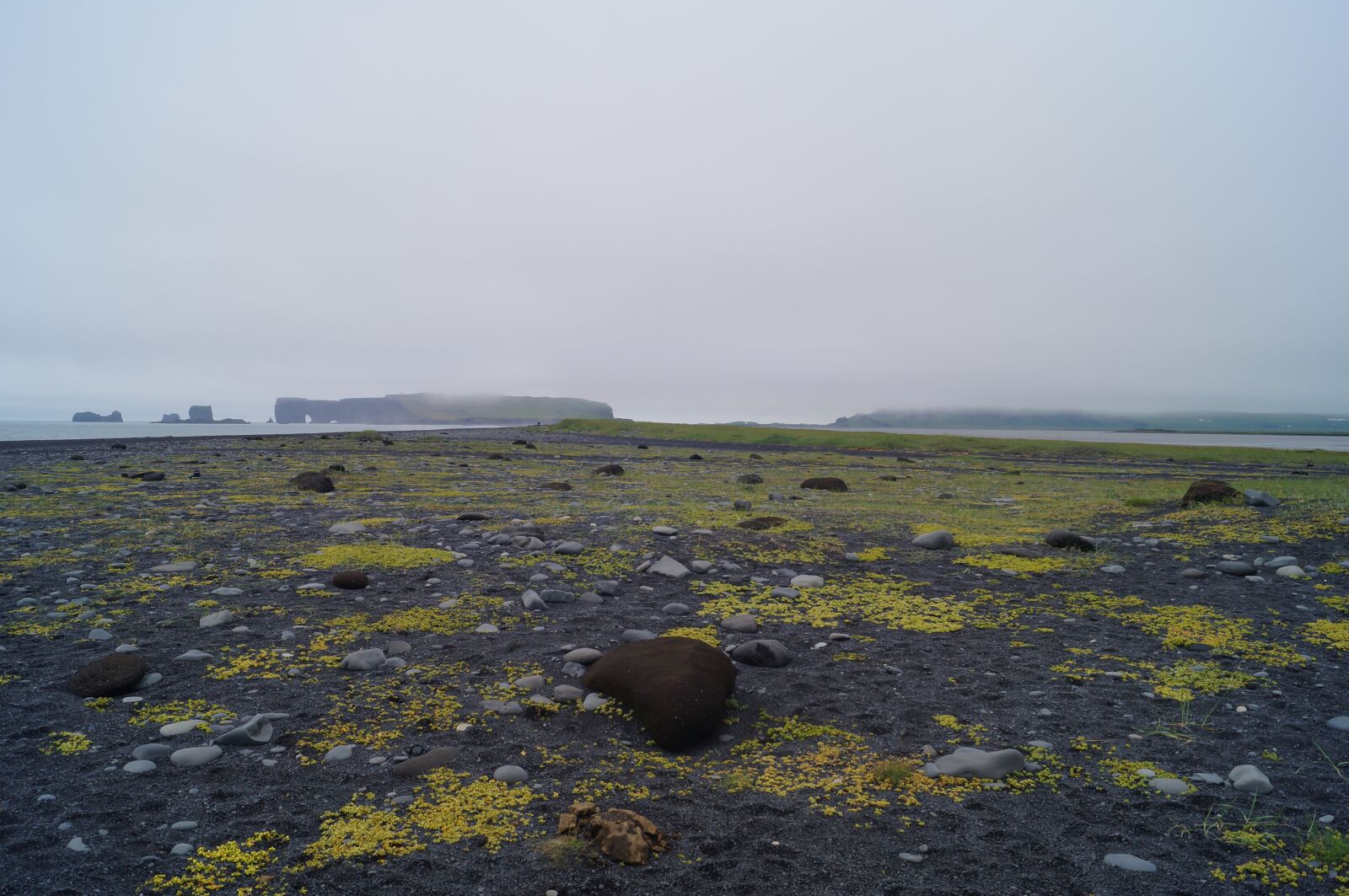 Sony SLT-A37 sample photo. Iceland, landscape, black beach photography