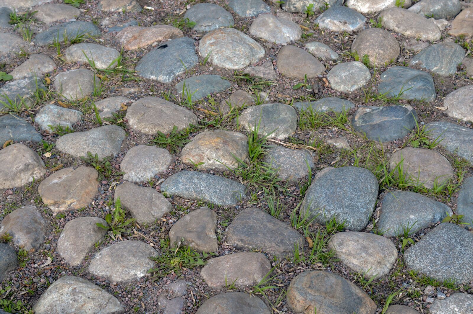 Nikon D3200 sample photo. Paved road, cobblestones, pavement photography