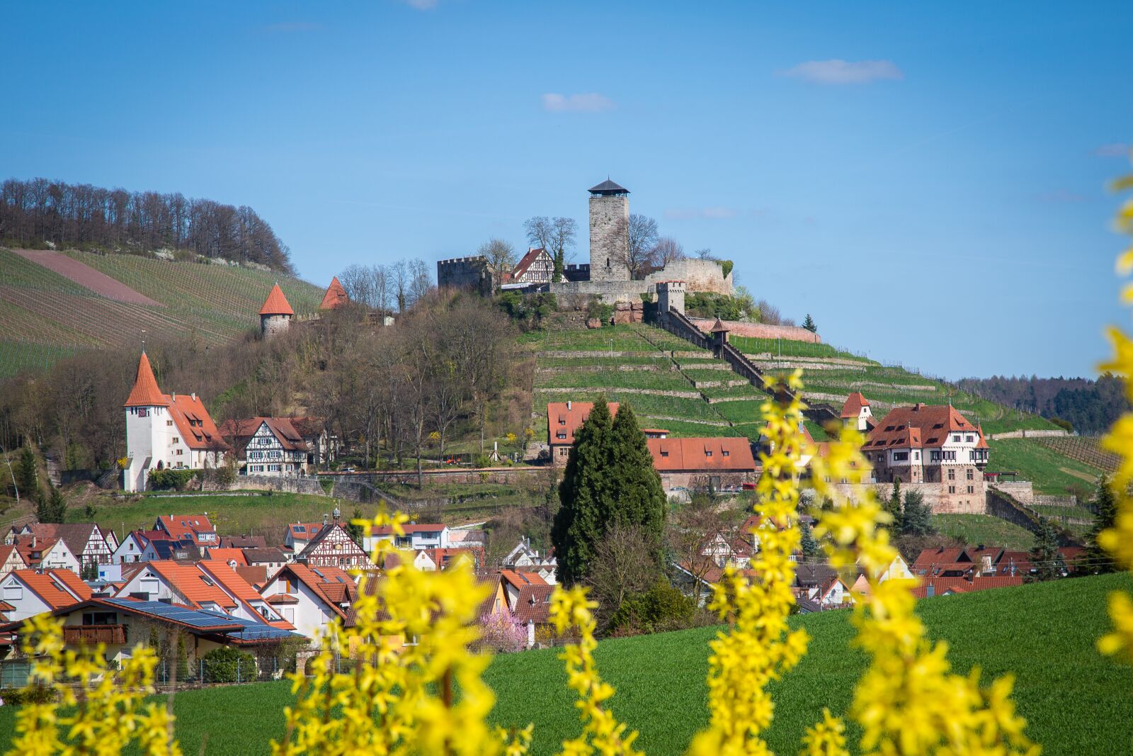 Canon EF 24-105mm F4L IS USM sample photo. Beilstein, castle, ruin photography