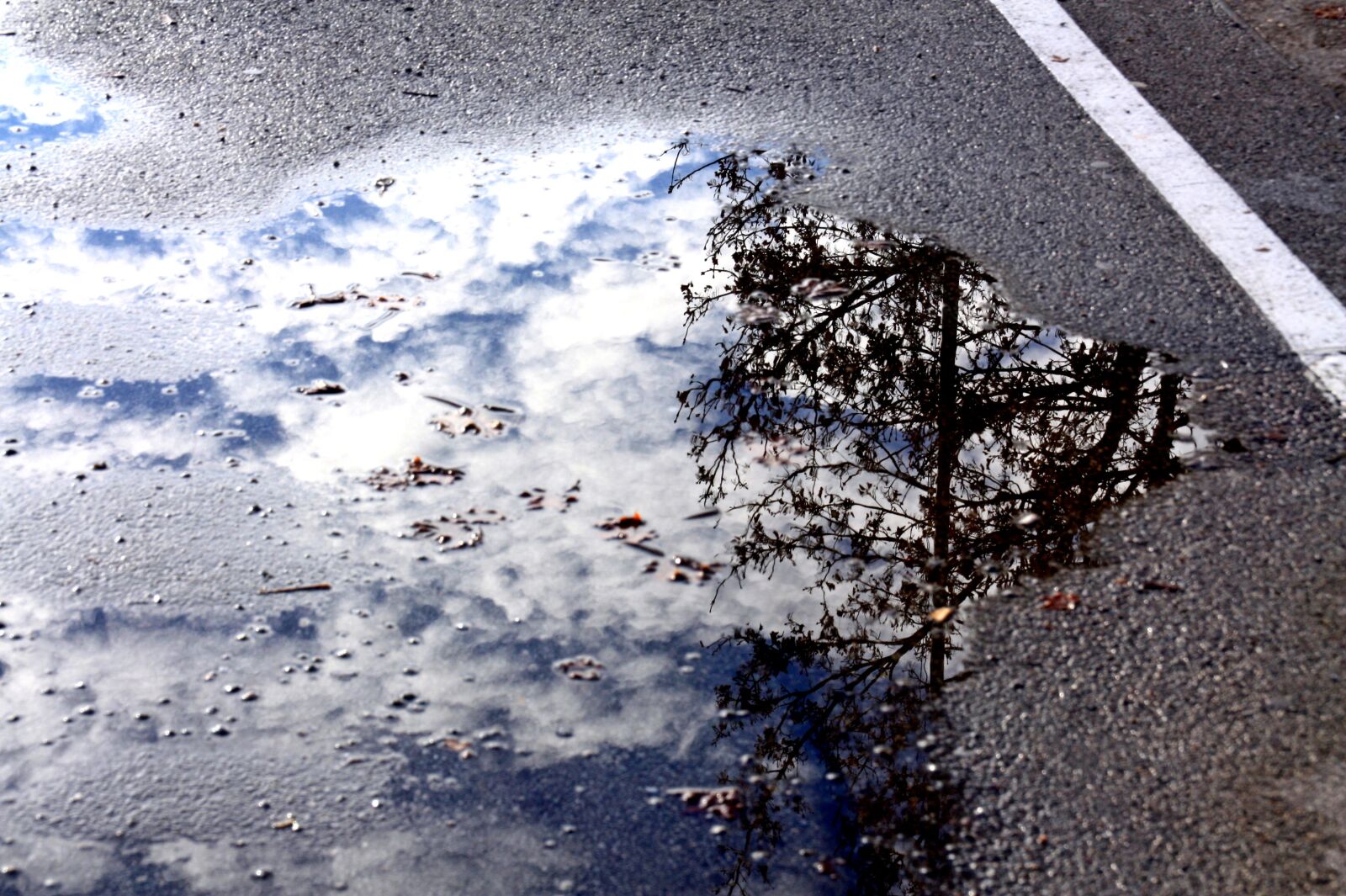 Canon EOS 450D (EOS Rebel XSi / EOS Kiss X2) sample photo. Puddle, water, mirroring photography