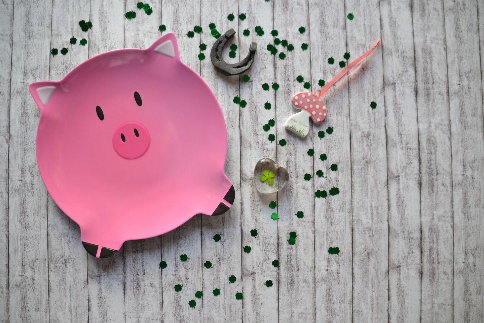 Nikon D3100 sample photo. Lucky pig, luck, piglet photography