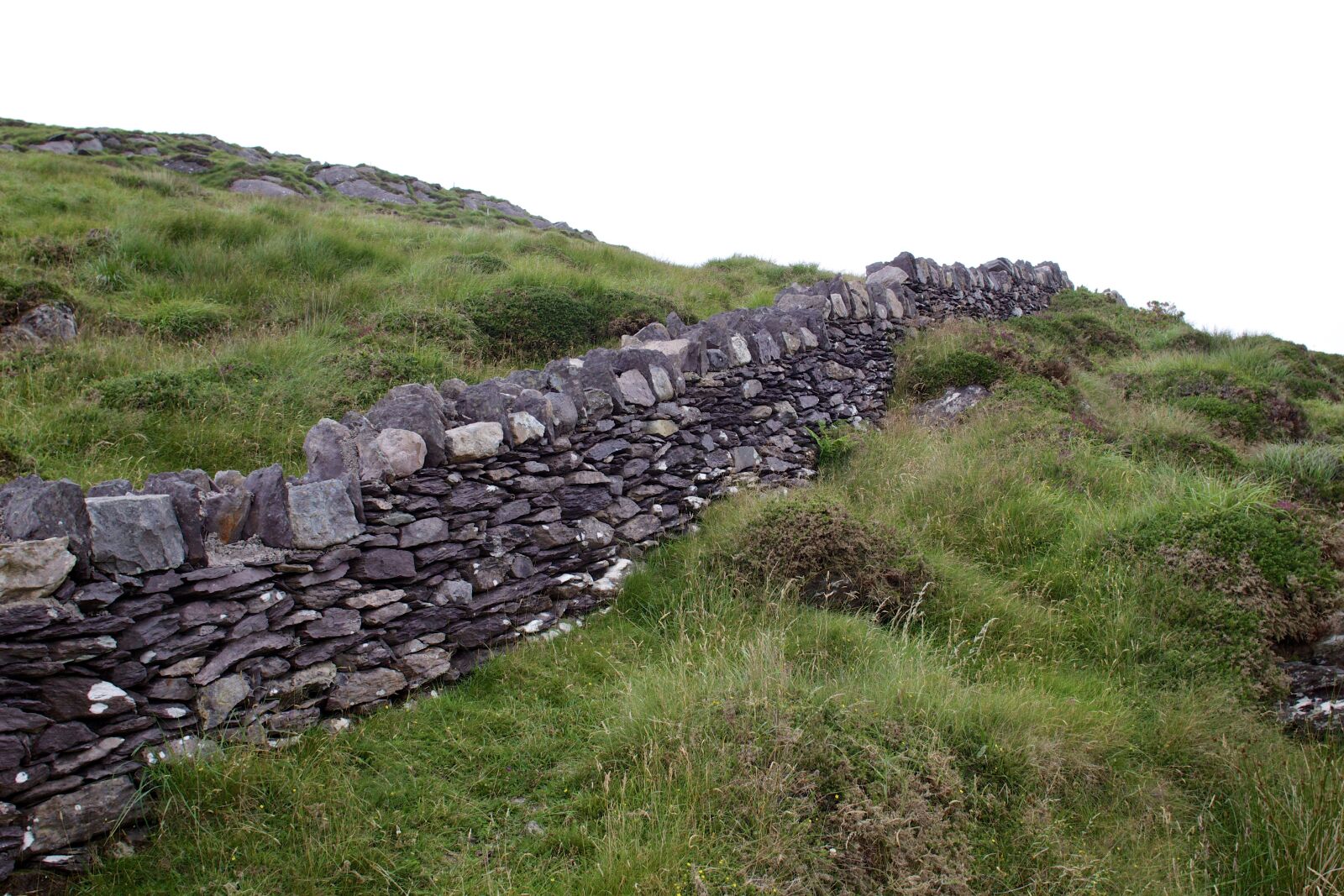 Canon EOS 100D (EOS Rebel SL1 / EOS Kiss X7) + Canon EF 20mm F2.8 USM sample photo. Rock fence, ireland, fence photography