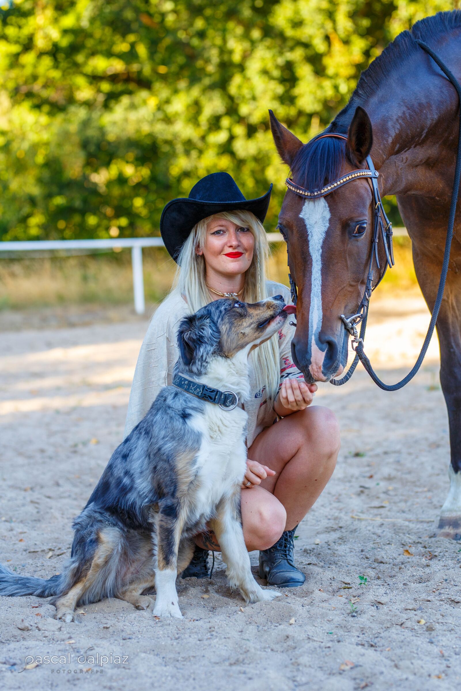Canon EOS 6D + Sigma 85mm F1.4 DG HSM Art sample photo. Dogs, ride, horses photography