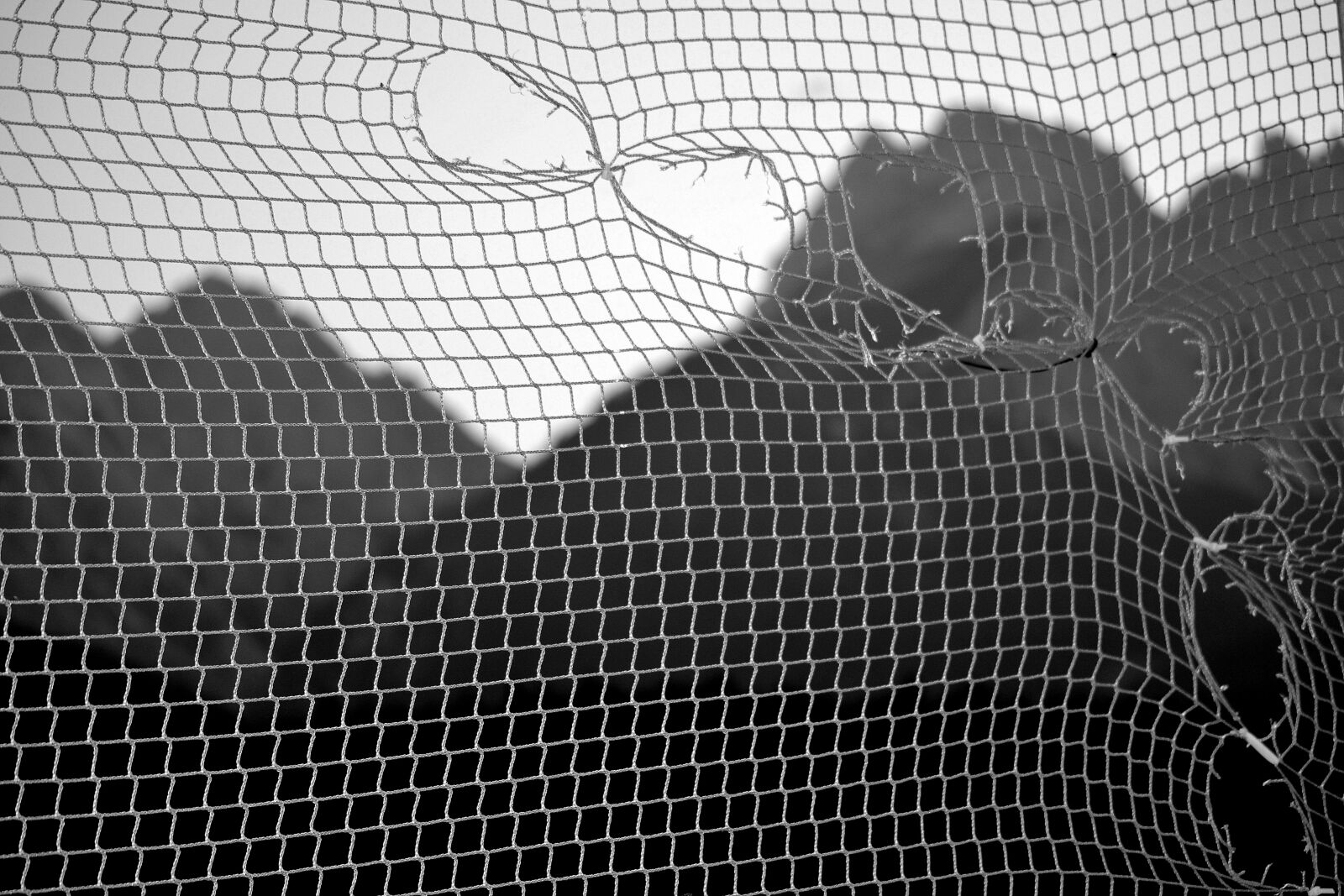 Nikon D3100 sample photo. Mountains, web, sunset photography