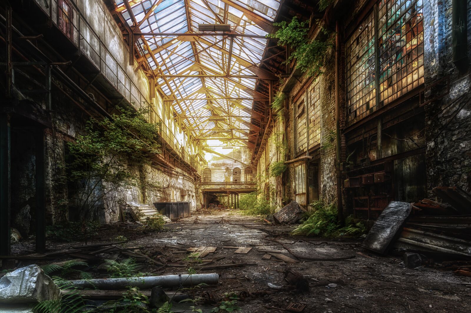 Nikon Z6 sample photo. Hall, factory, abandoned photography