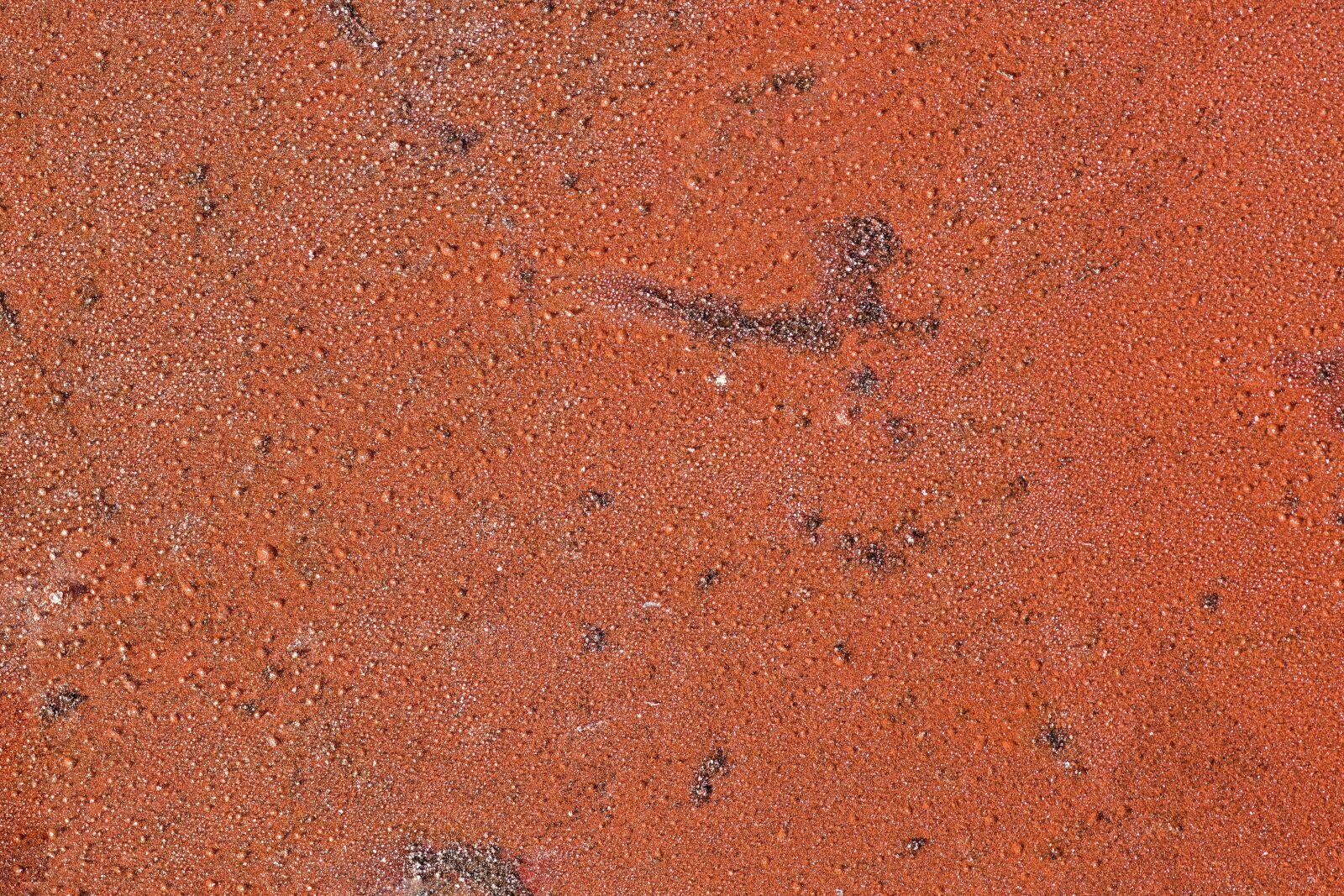 Nikon D7200 sample photo. Sheet, rust, corrosion photography