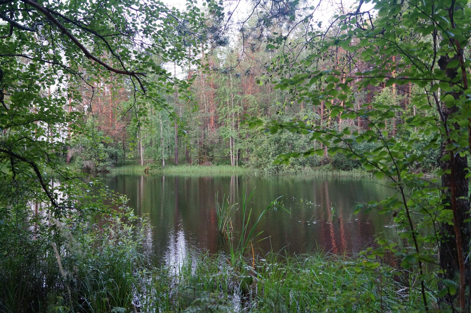 Sony SLT-A57 sample photo. Water, trees, landscape photography