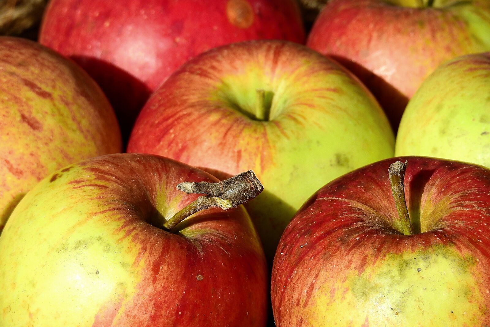Nikon Coolpix P900 sample photo. Apples, vitamins, fruit photography