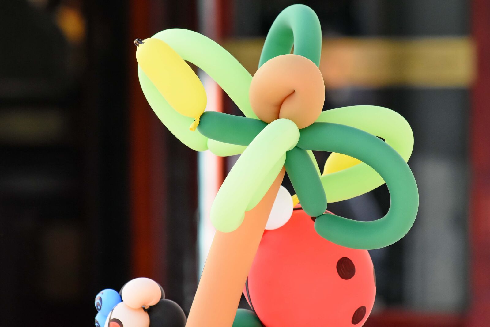 Nikon D5500 sample photo. Balloon, colourful, creativity, outdoor photography