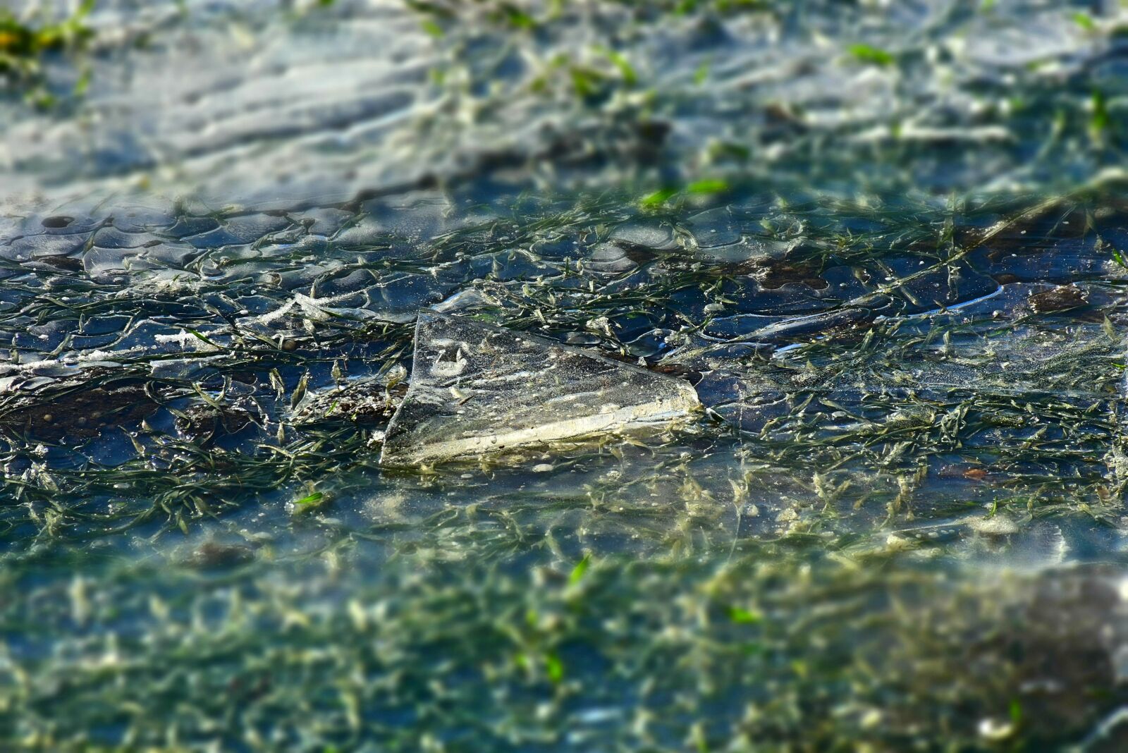 Nikon D7200 sample photo. Ice, cold, winter photography