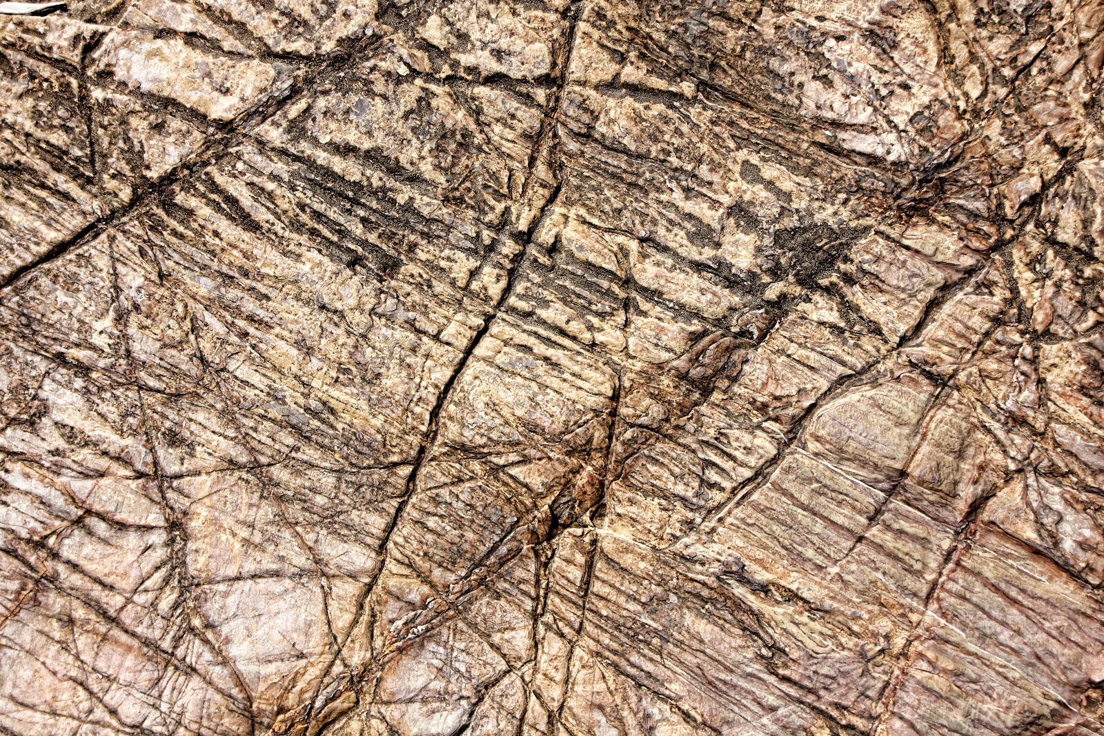 Canon EOS 550D (EOS Rebel T2i / EOS Kiss X4) sample photo. Texture, background, stone photography