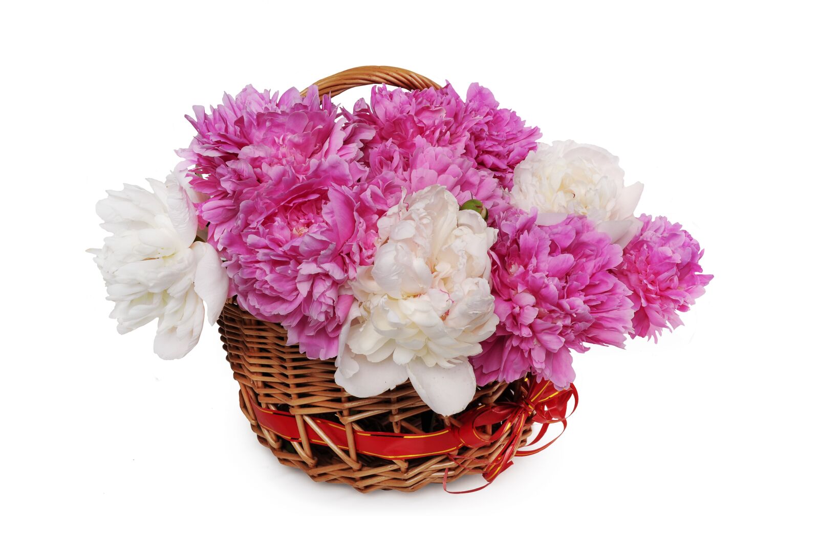 Nikon D5000 sample photo. Flower, desktop, disjunct photography