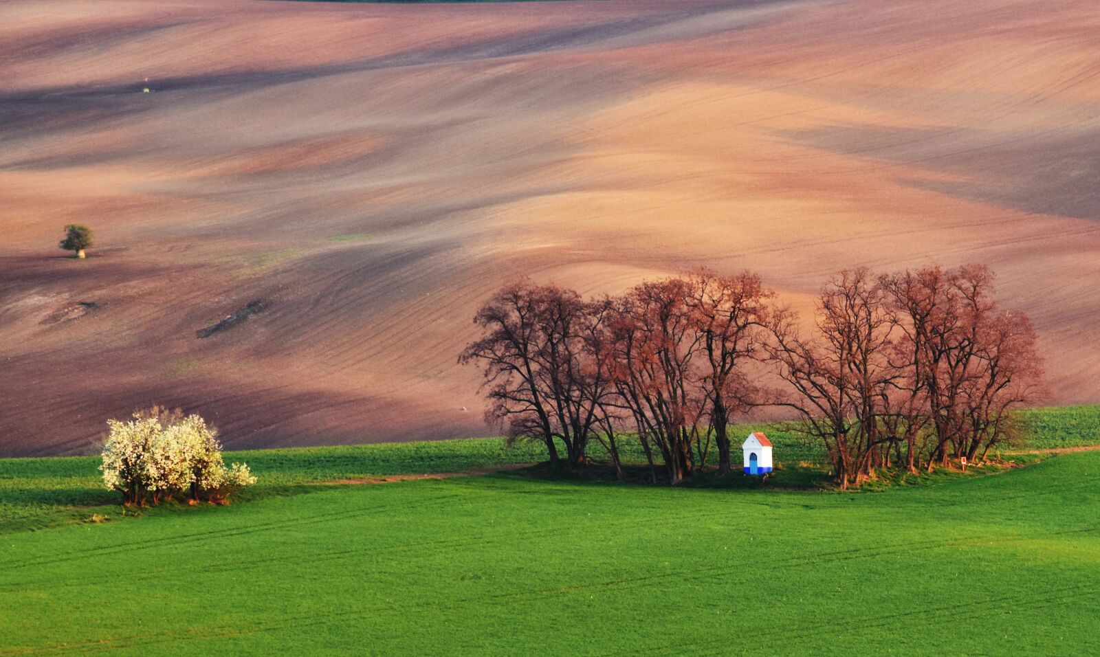 Nikon D5500 sample photo. Field, chapel, spring photography