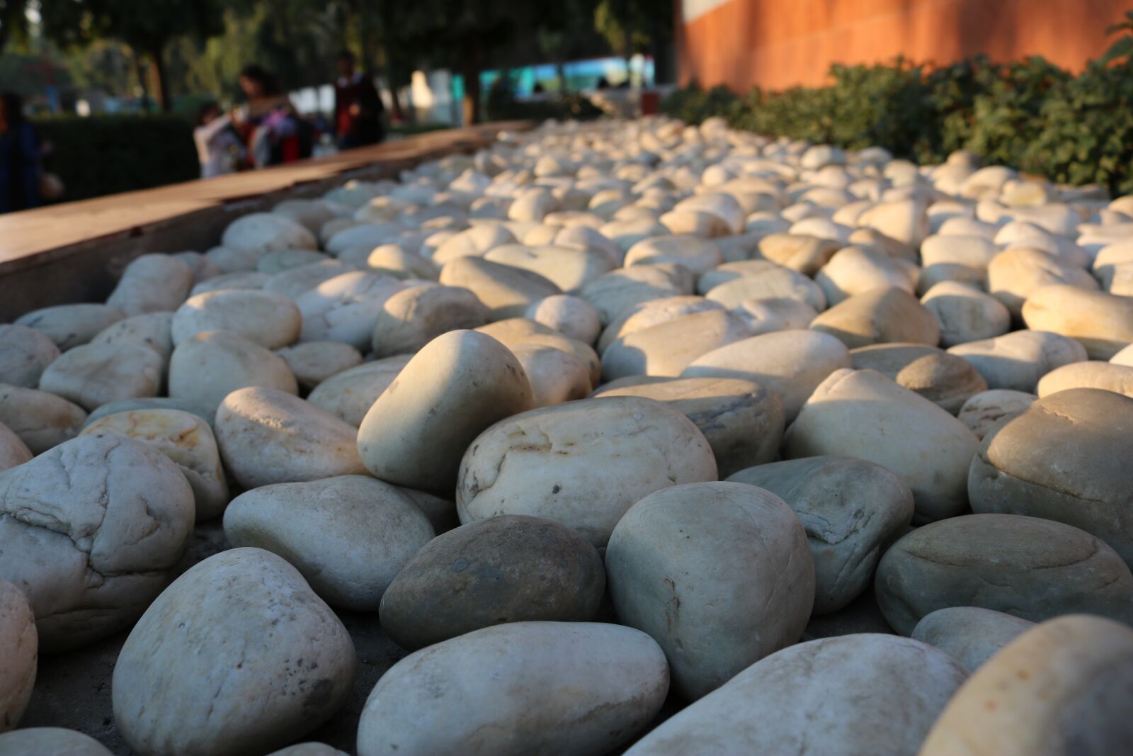 Canon EOS 750D (EOS Rebel T6i / EOS Kiss X8i) sample photo. Texture, nature, pattern photography