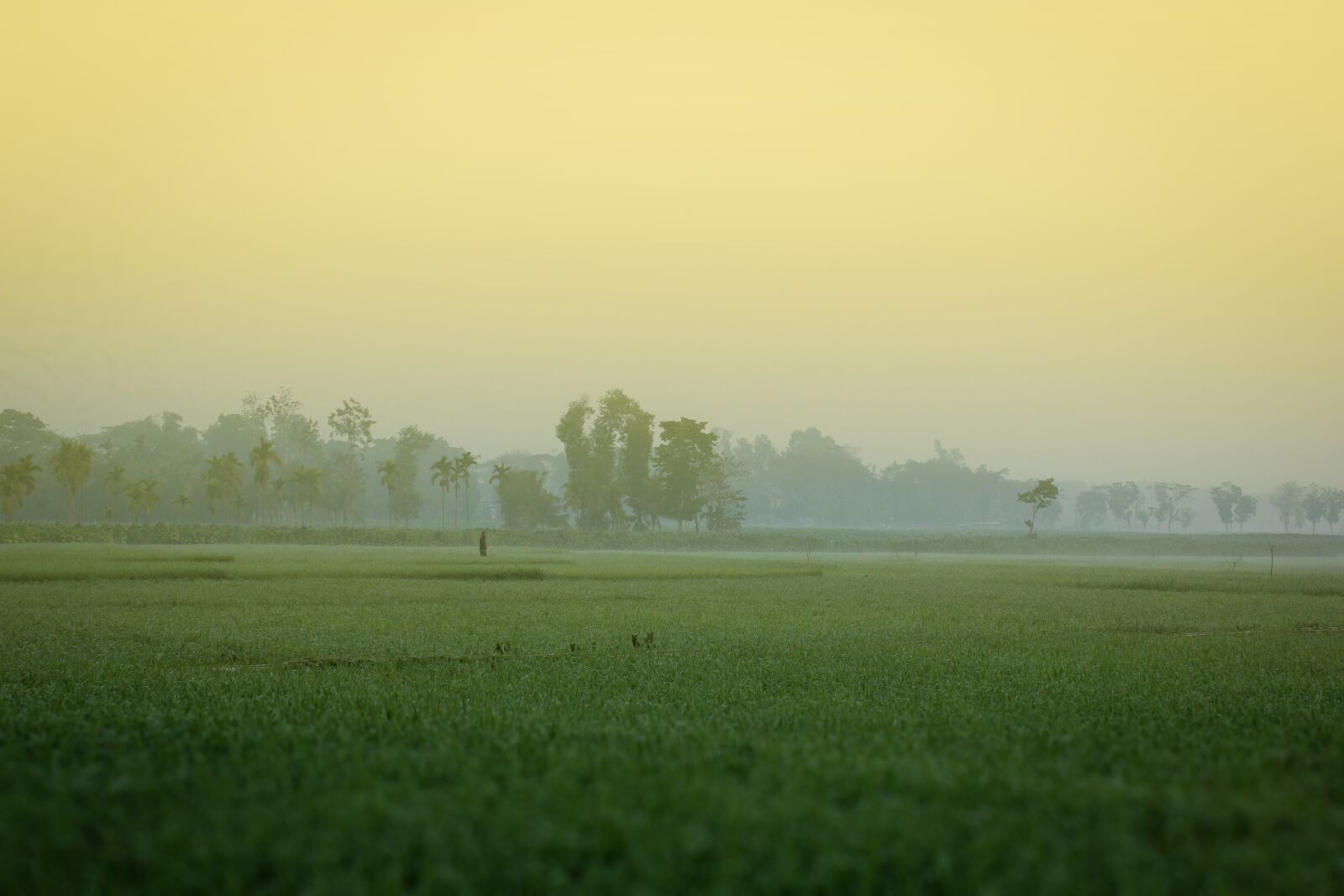 Canon EOS 60D sample photo. Winter morning, bangladesh, khagrachori photography