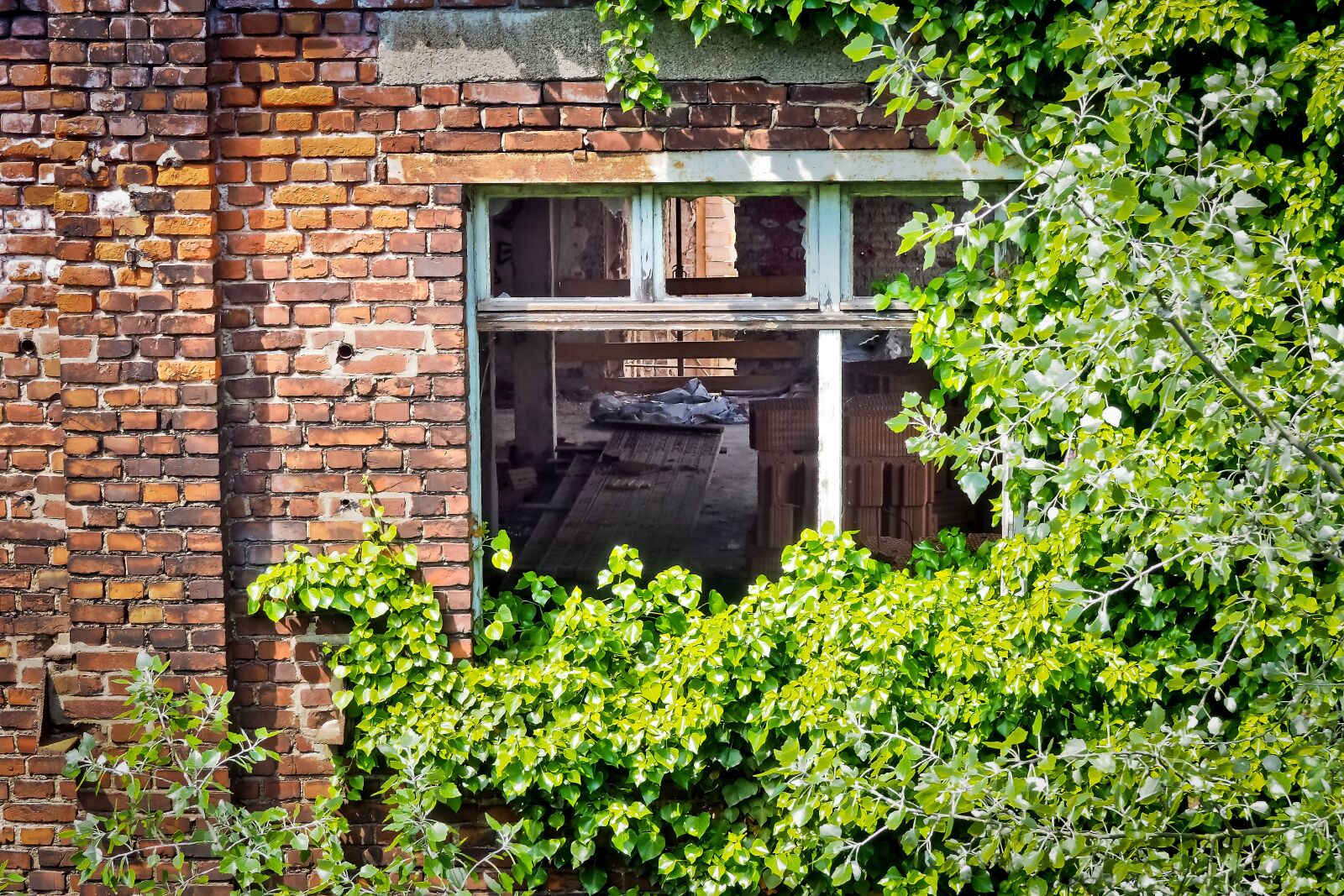 Olympus OM-D E-M10 sample photo. Lost places, rooms, abandoned photography