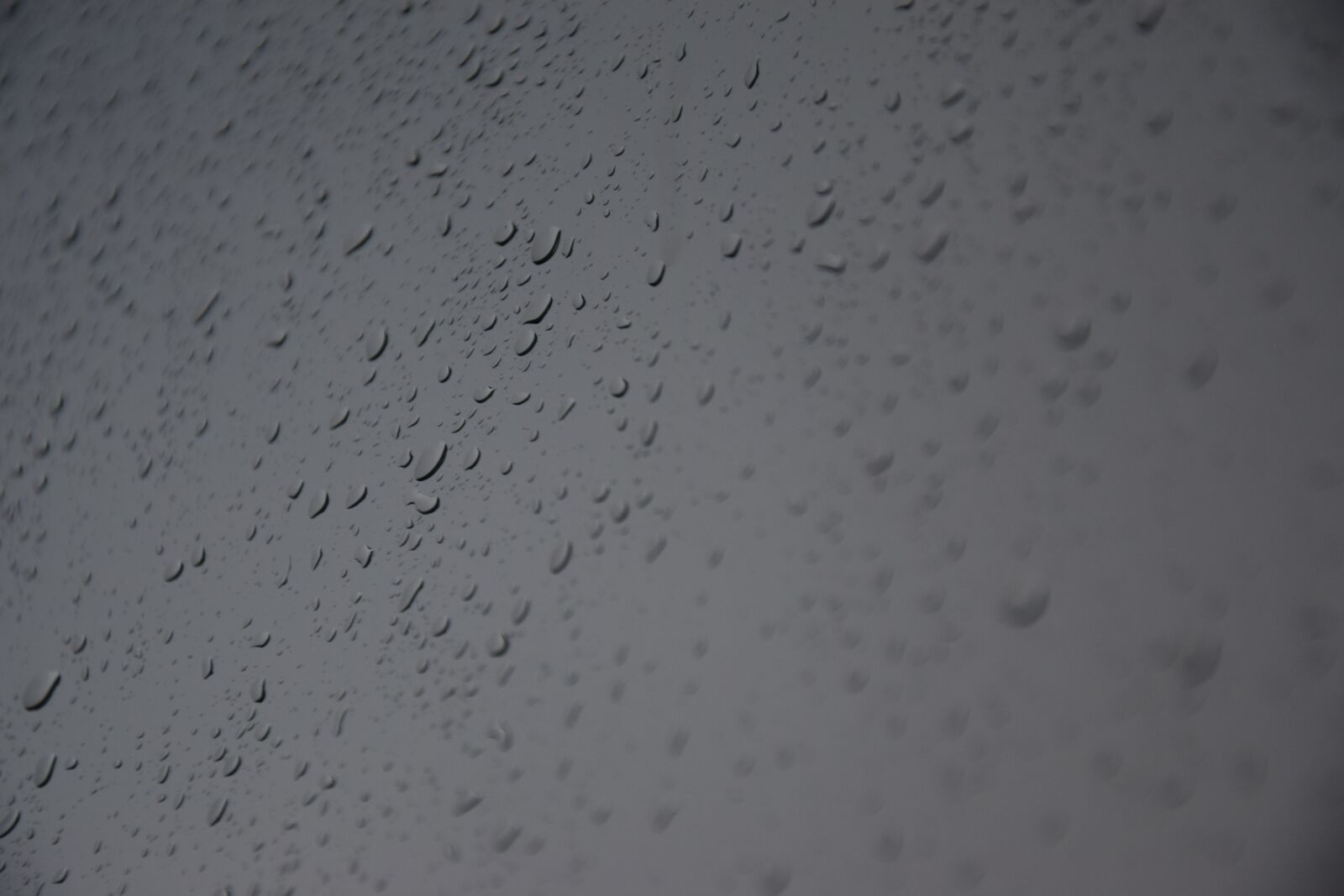 Nikon D3300 sample photo. Water, drops, a drop photography