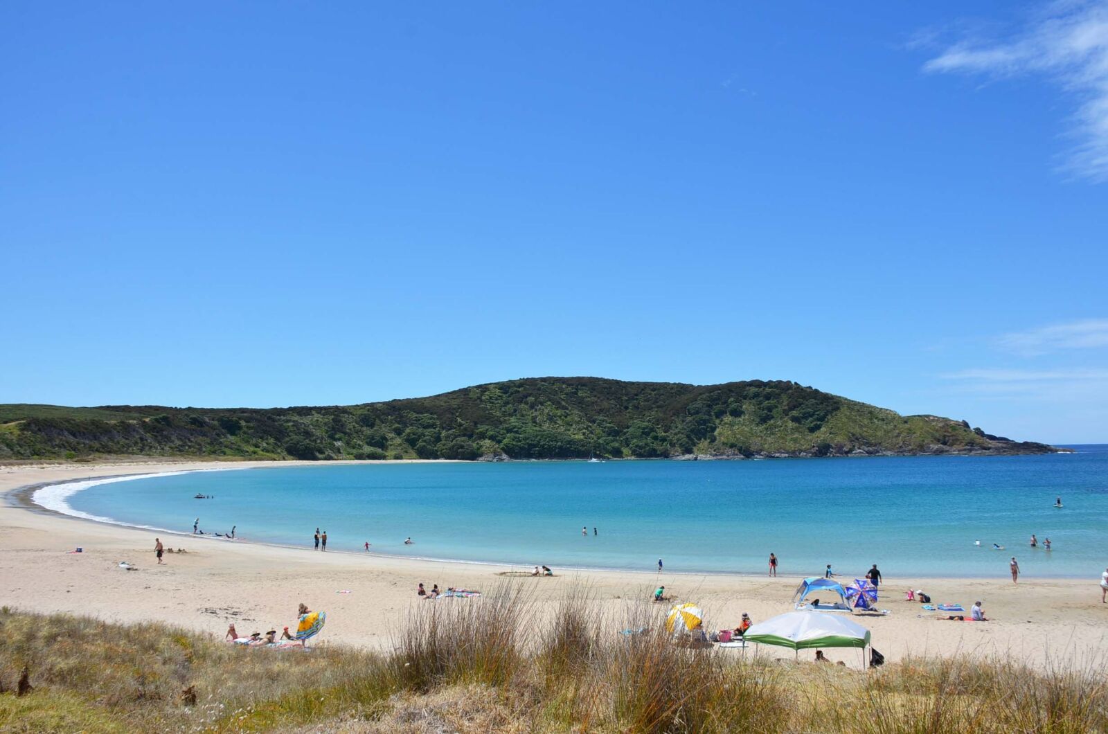 Nikon D7000 sample photo. New zealand, seaside, sandy photography