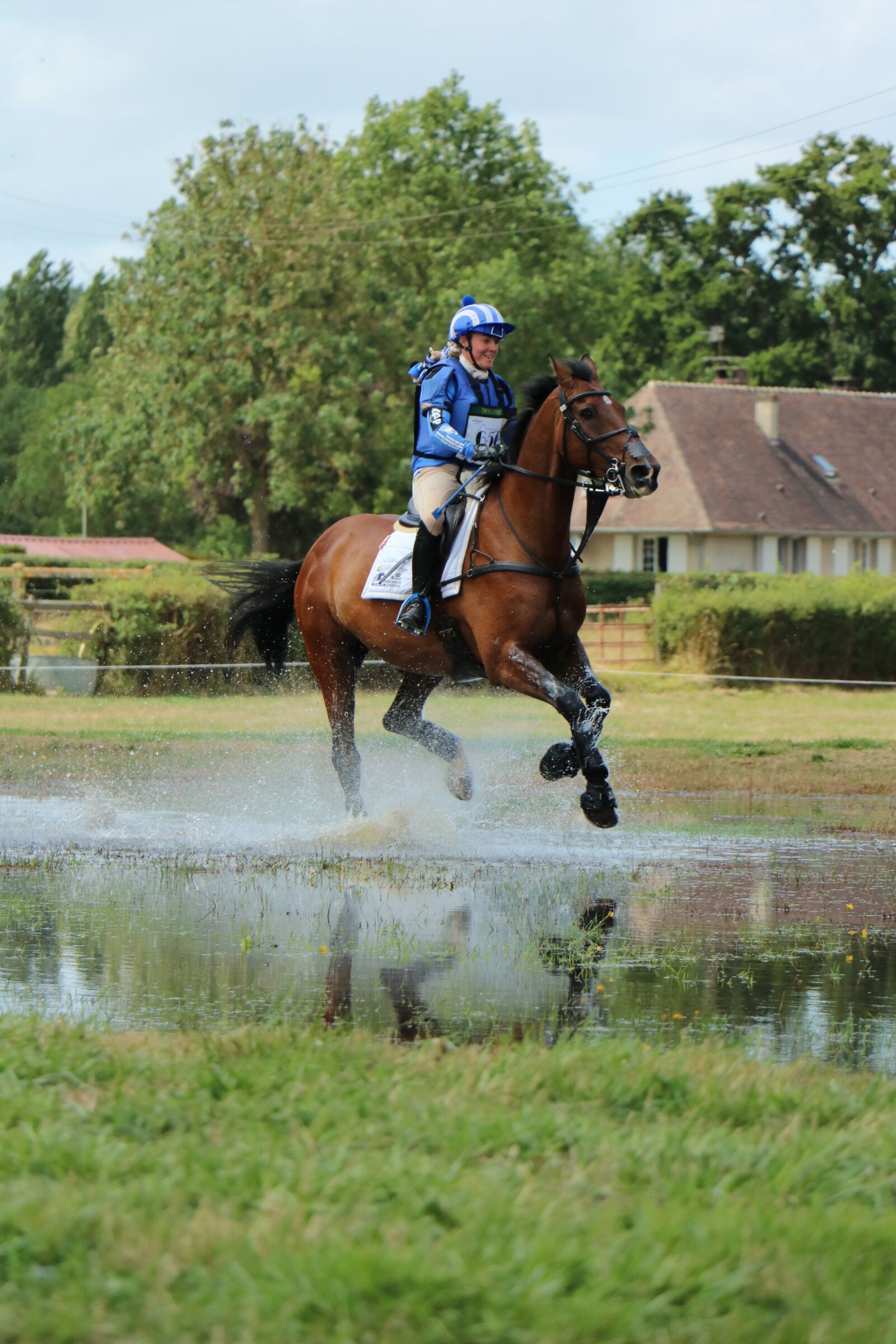 Canon EOS 750D (EOS Rebel T6i / EOS Kiss X8i) sample photo. Haras du pin, national photography