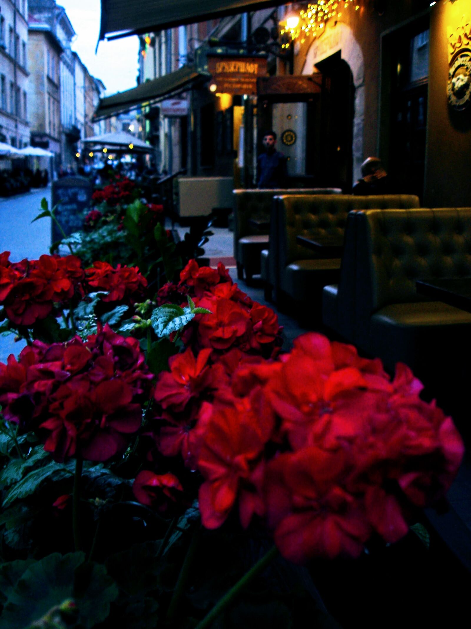 Sony DSC-W17 sample photo. Bar, cafe, beautiful, flowers photography