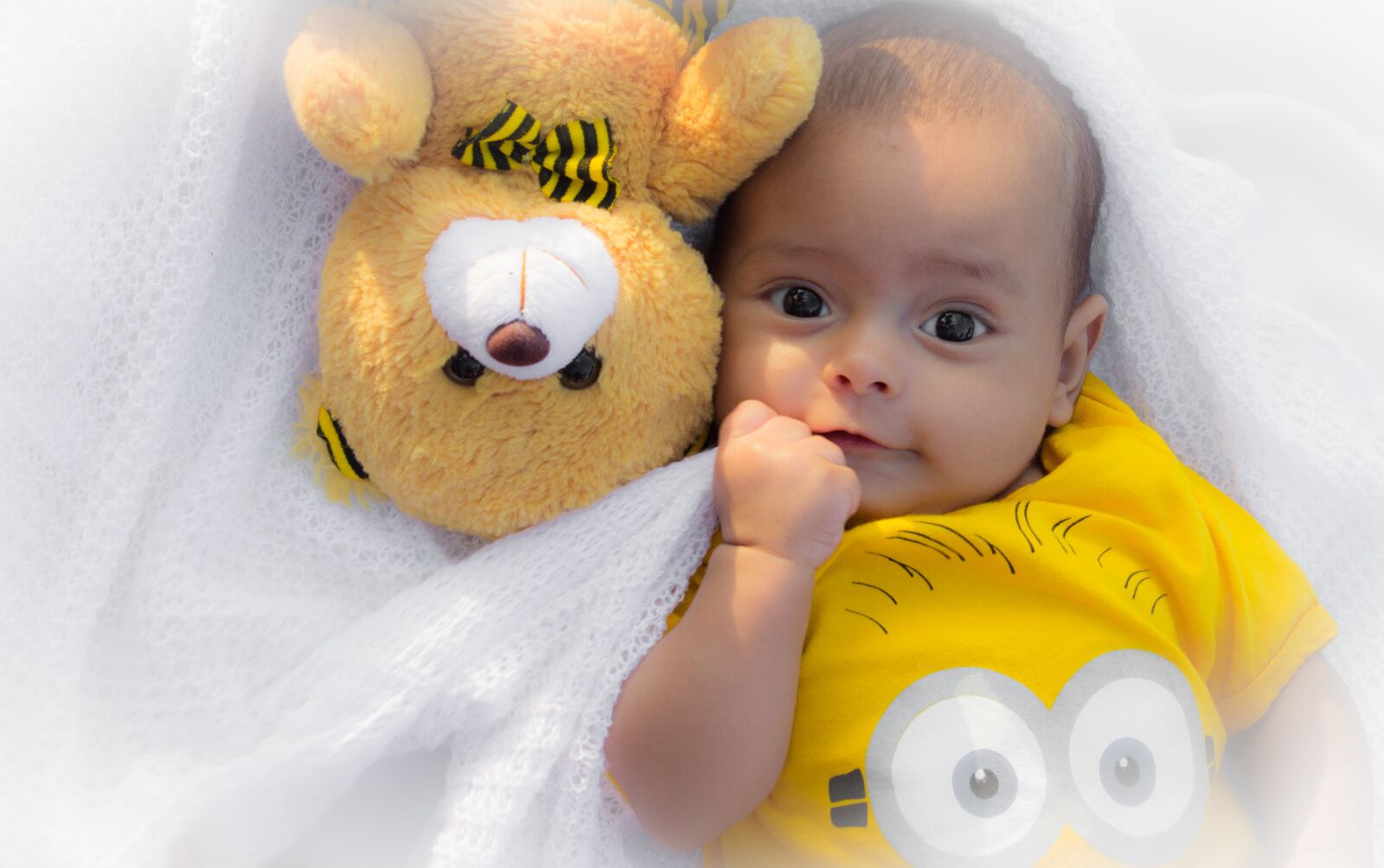 Canon EOS 600D (Rebel EOS T3i / EOS Kiss X5) sample photo. Son, teddy bear, art photography